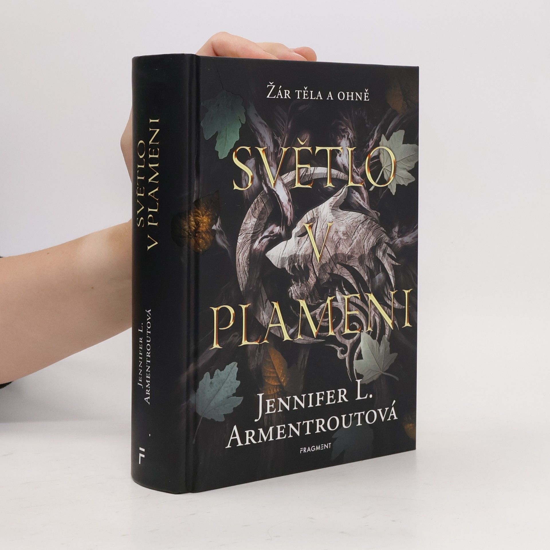 Jennifer L. Armentrout Světlo v plameni