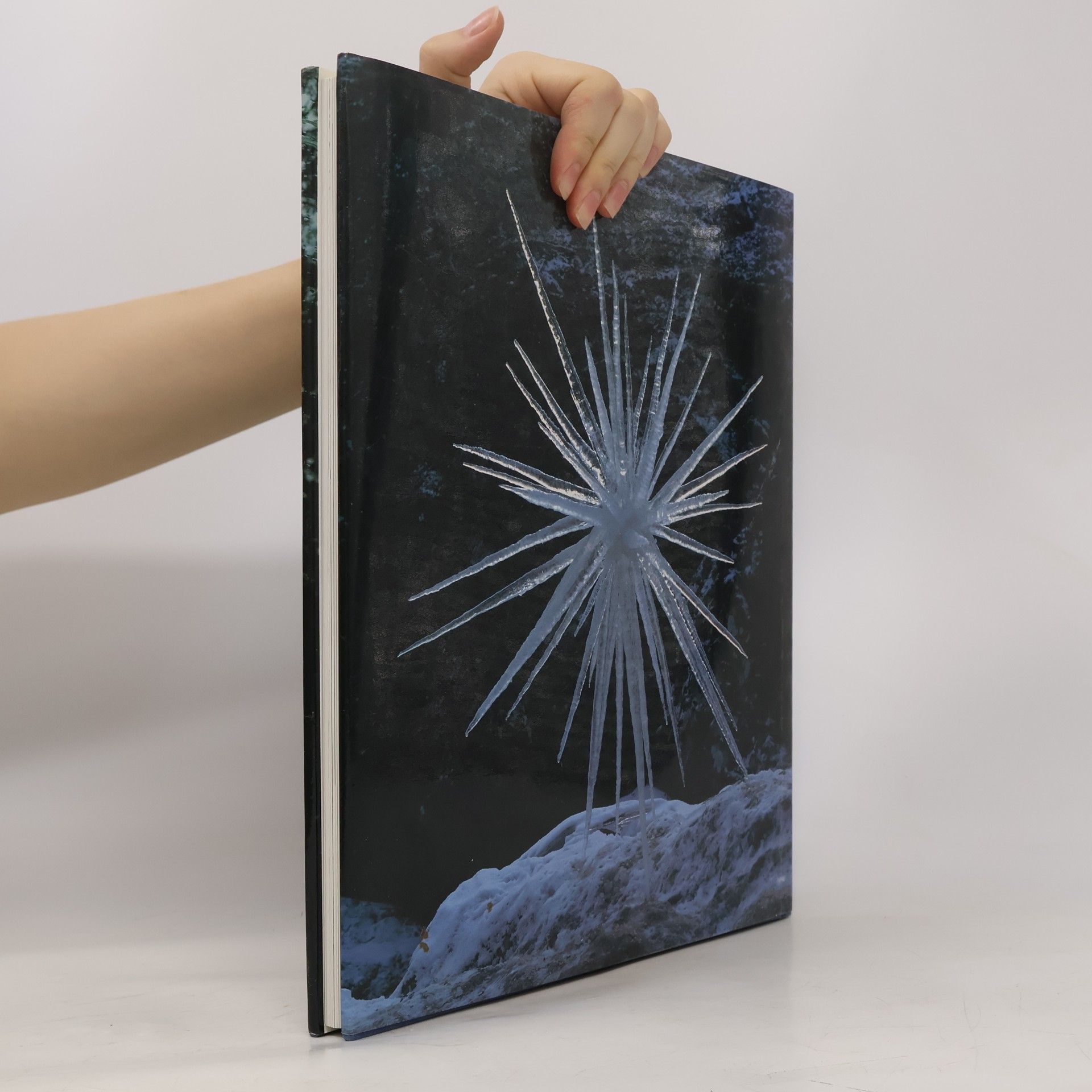 Andy Goldsworthy Zweitausendeins