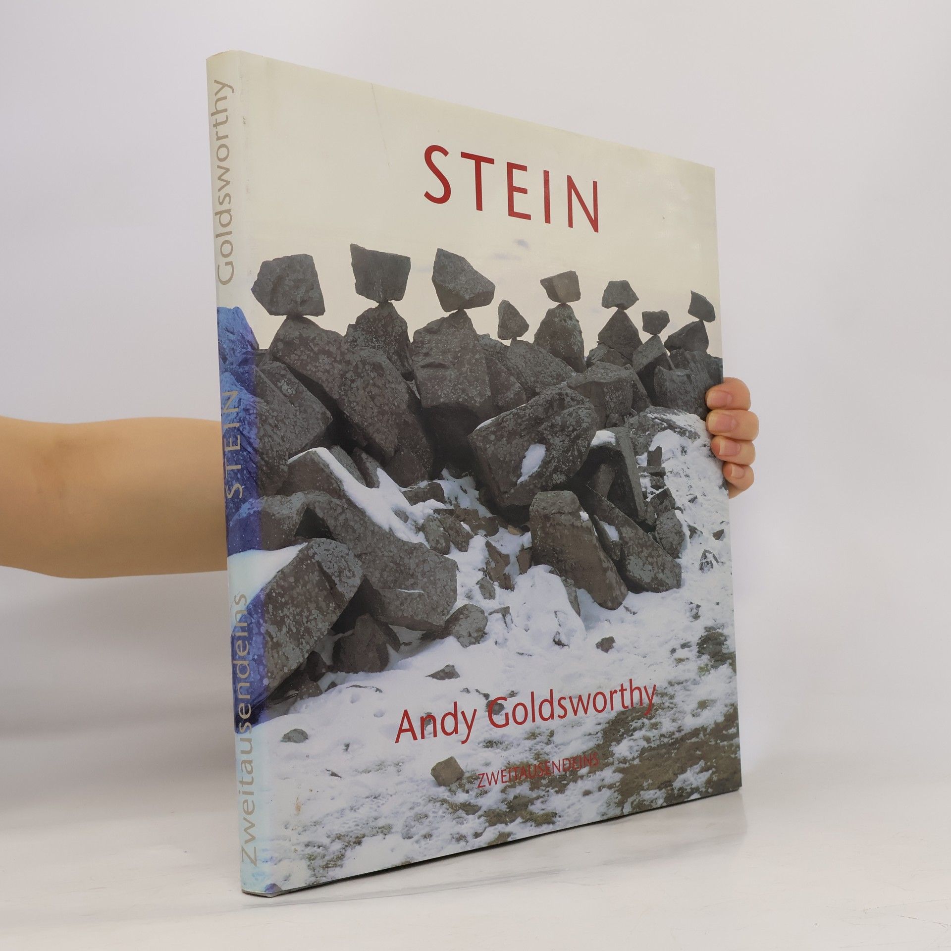 Andy Goldsworthy Stein