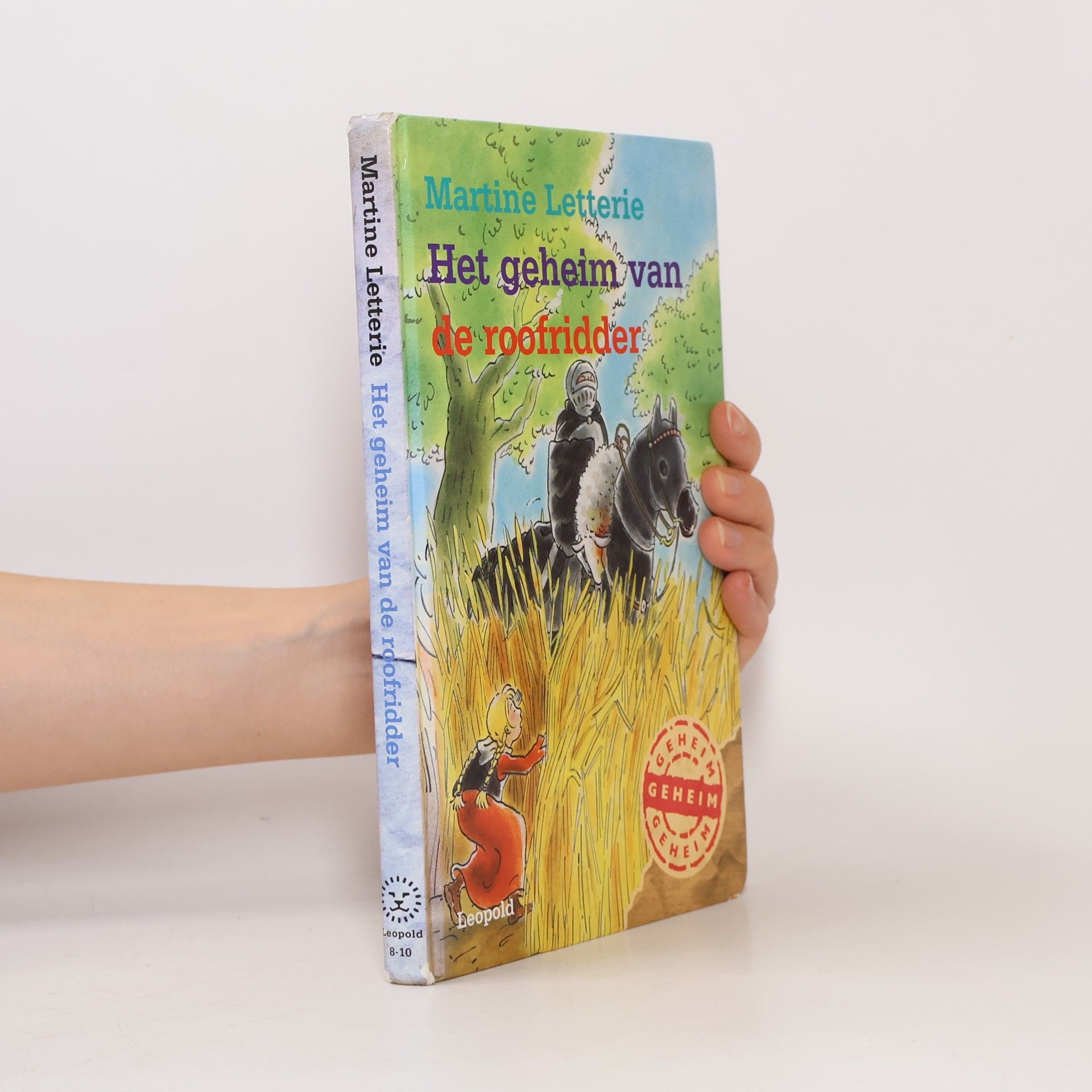 Martine Letterie Het geheim van de roofridder