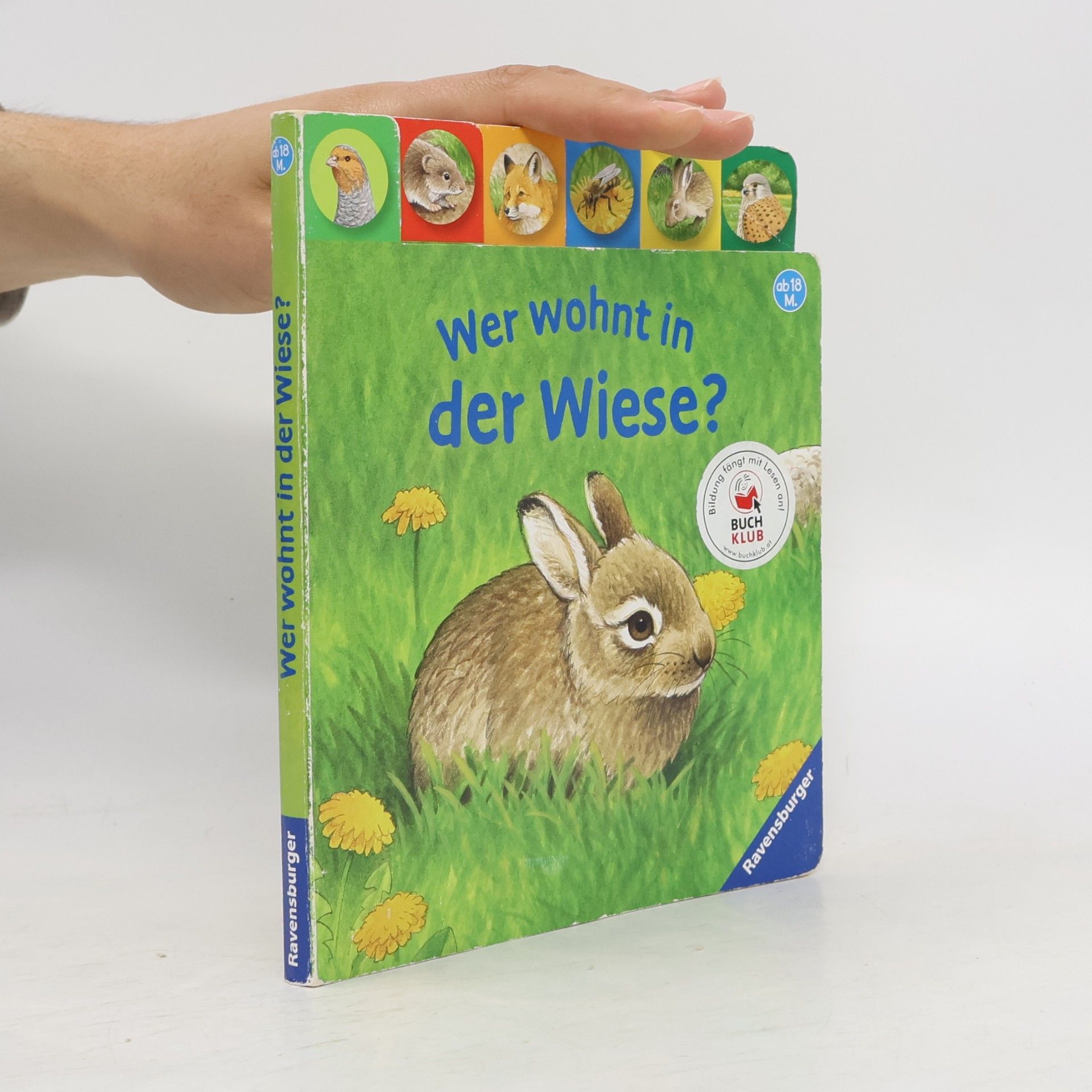 Autorenkollektiv Wer wohnt in der Wiese?