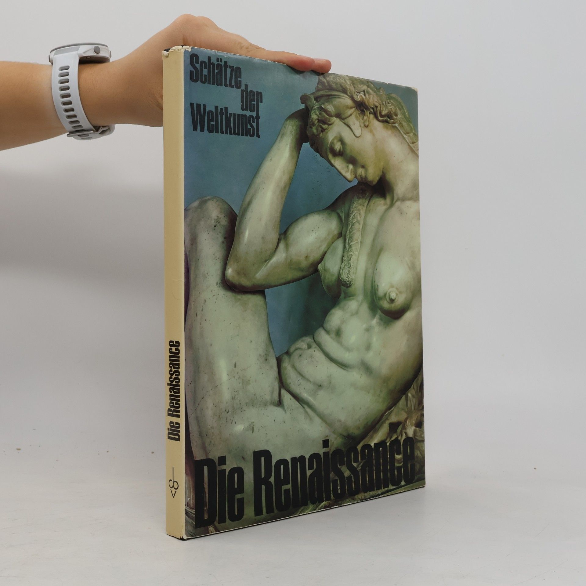 Andrew Martindale Die Renaissance