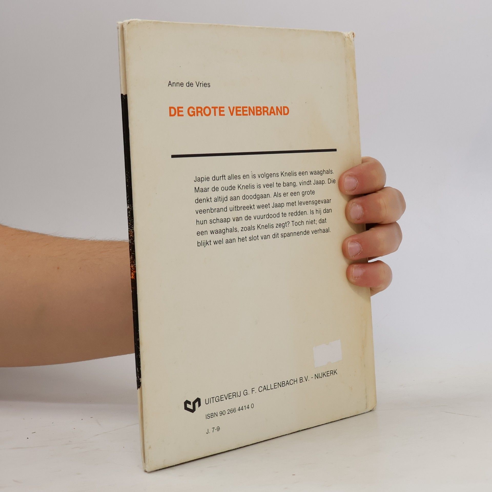 Anne de Vries De grote veenbrand