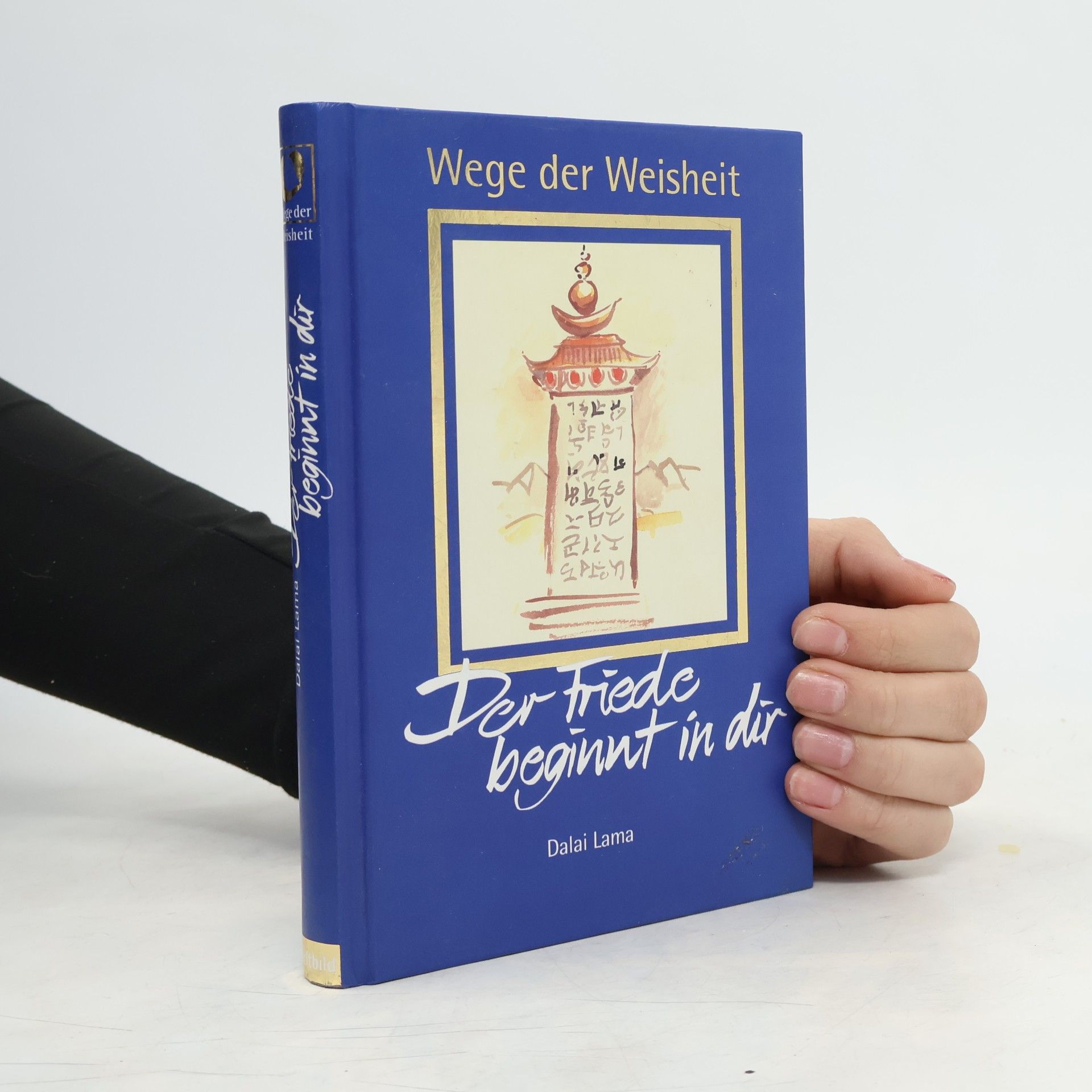 Dalaï-Lama Wege der Weisheit. Der Friede beginnt in dir