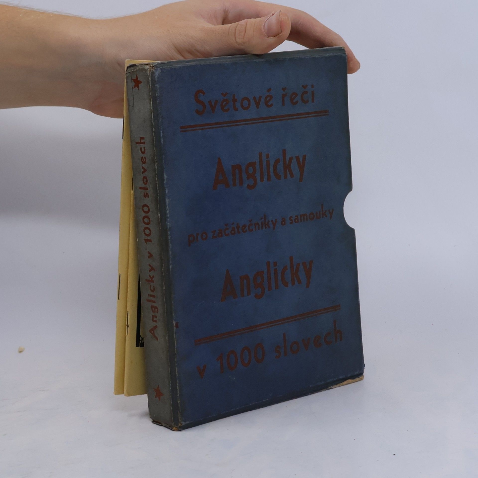 Kolektiv autorů Světové řeči v 1000 slovech. Anglicky v 1000 slovech