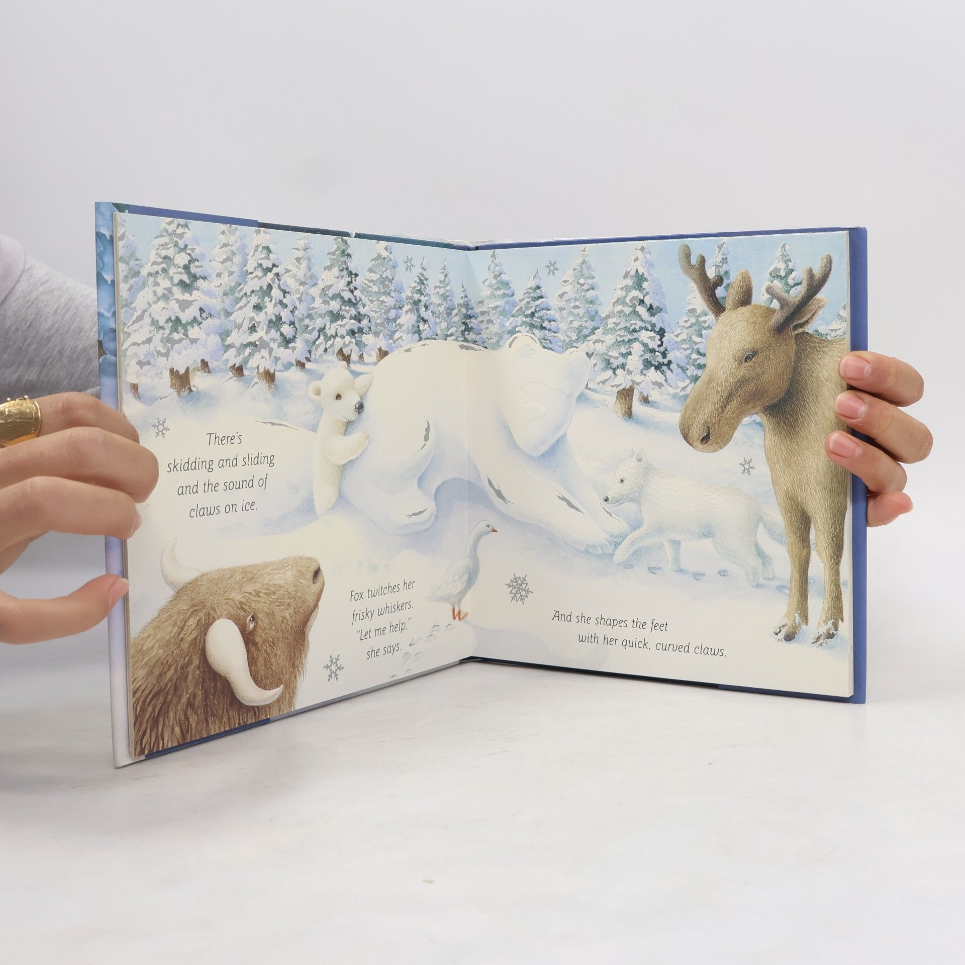Miriam Moss The Snow Bear