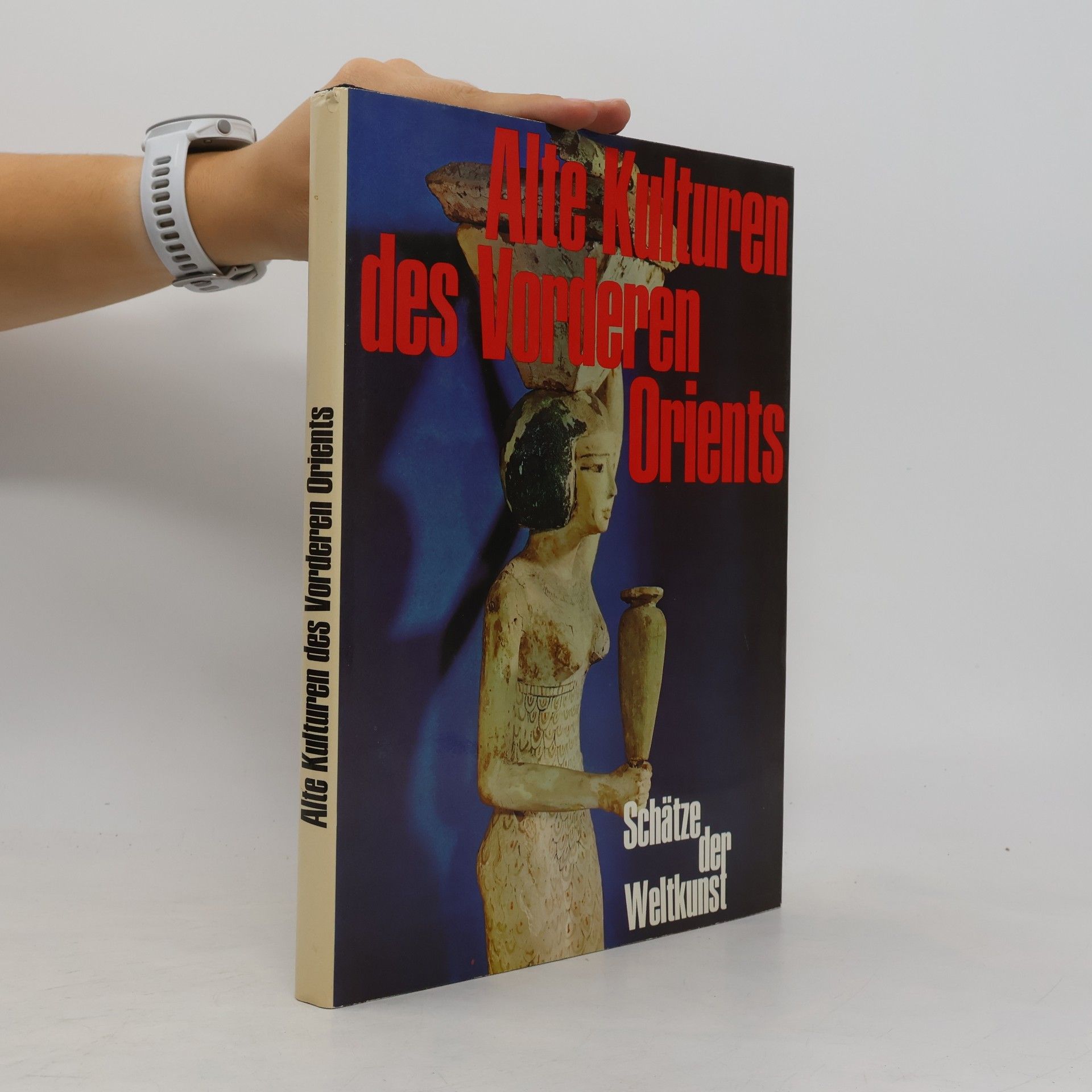 Kolektiv autorů Alte Kulturen des Vorderen Orients
