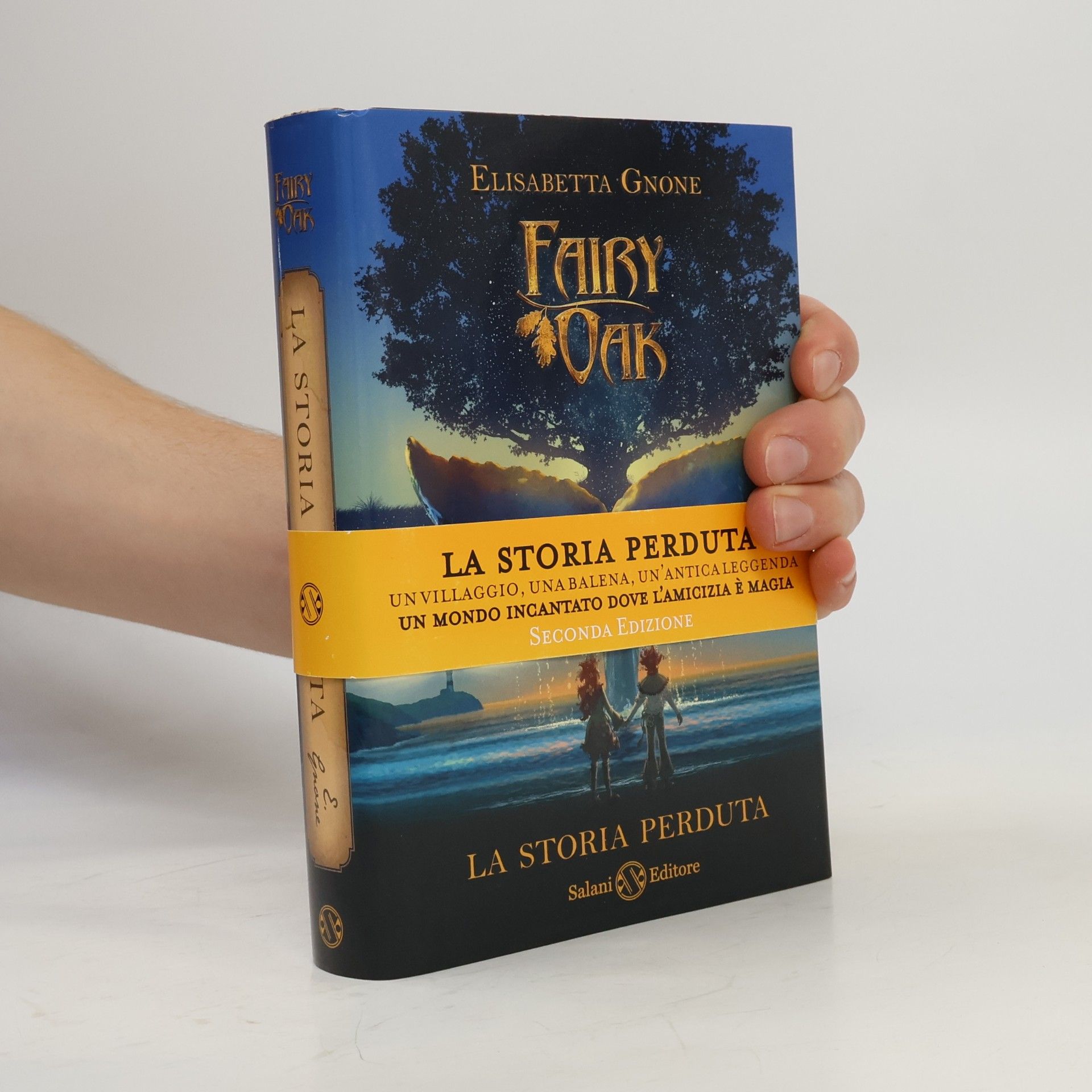 La storia perduta. Fairy Oak