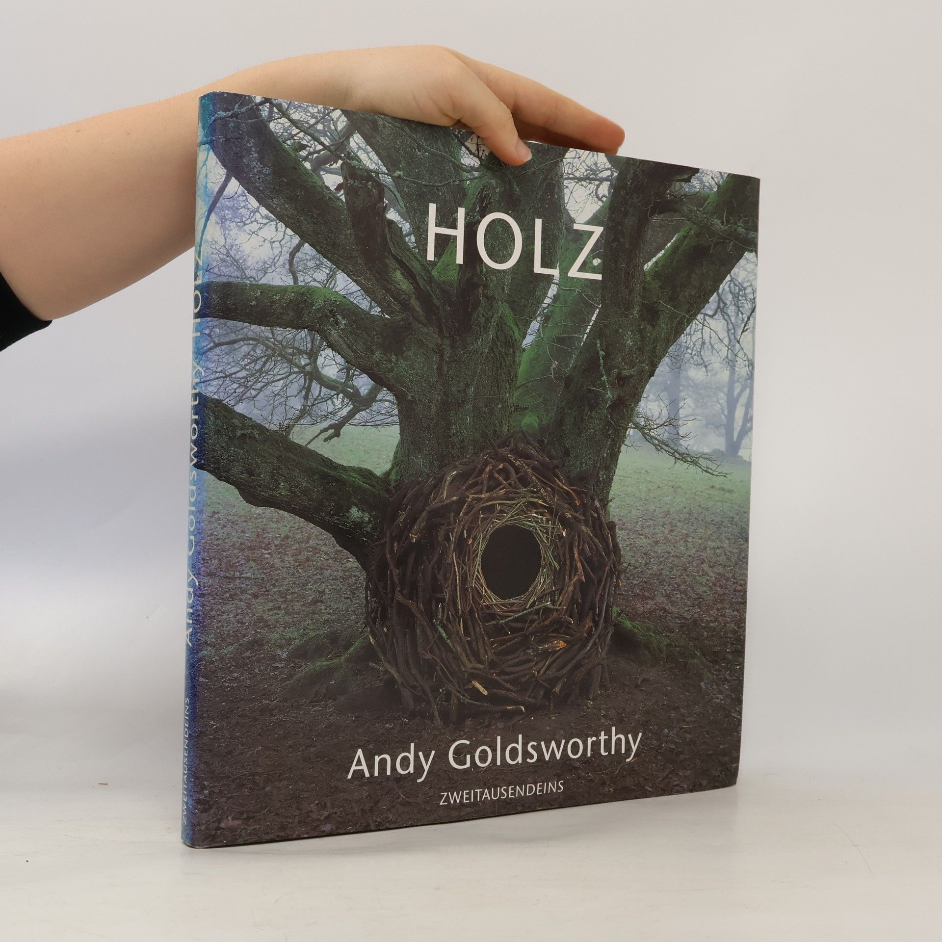 Andy Goldsworthy Holz