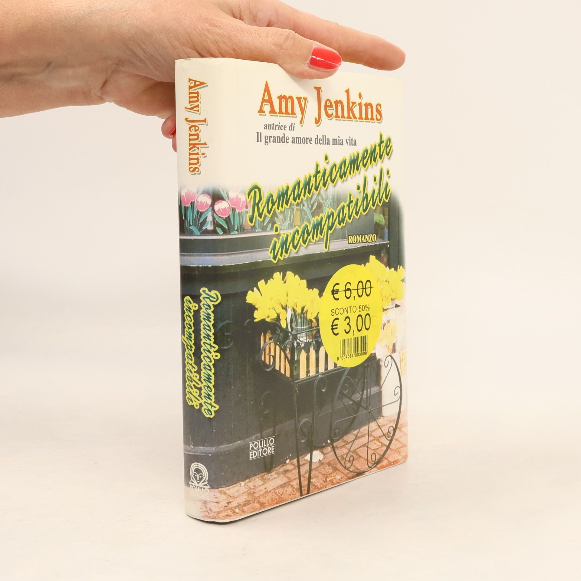 Amy Jenkins Romanticamente incompatibili