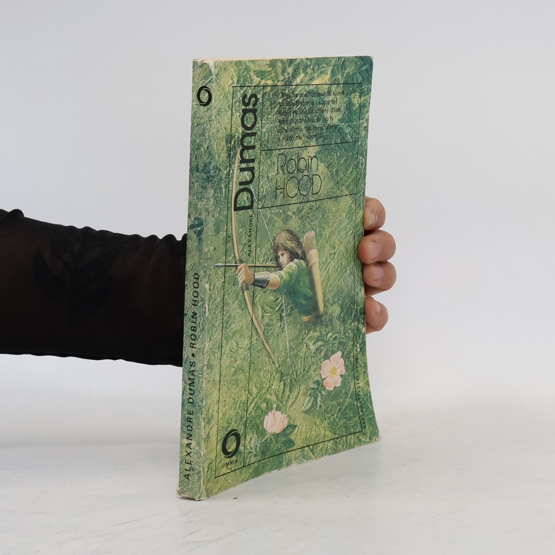 Alexandre Dumas starší Robin Hood