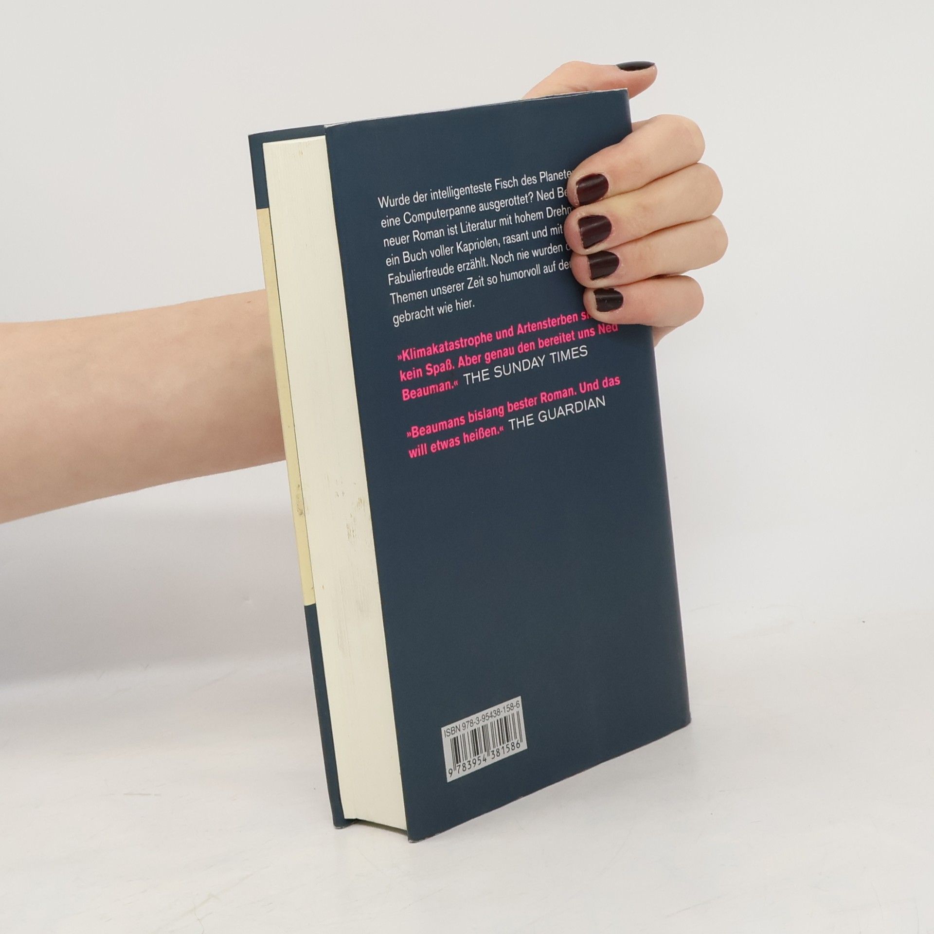 Ned Beauman Der Gemeine Lumpfisch