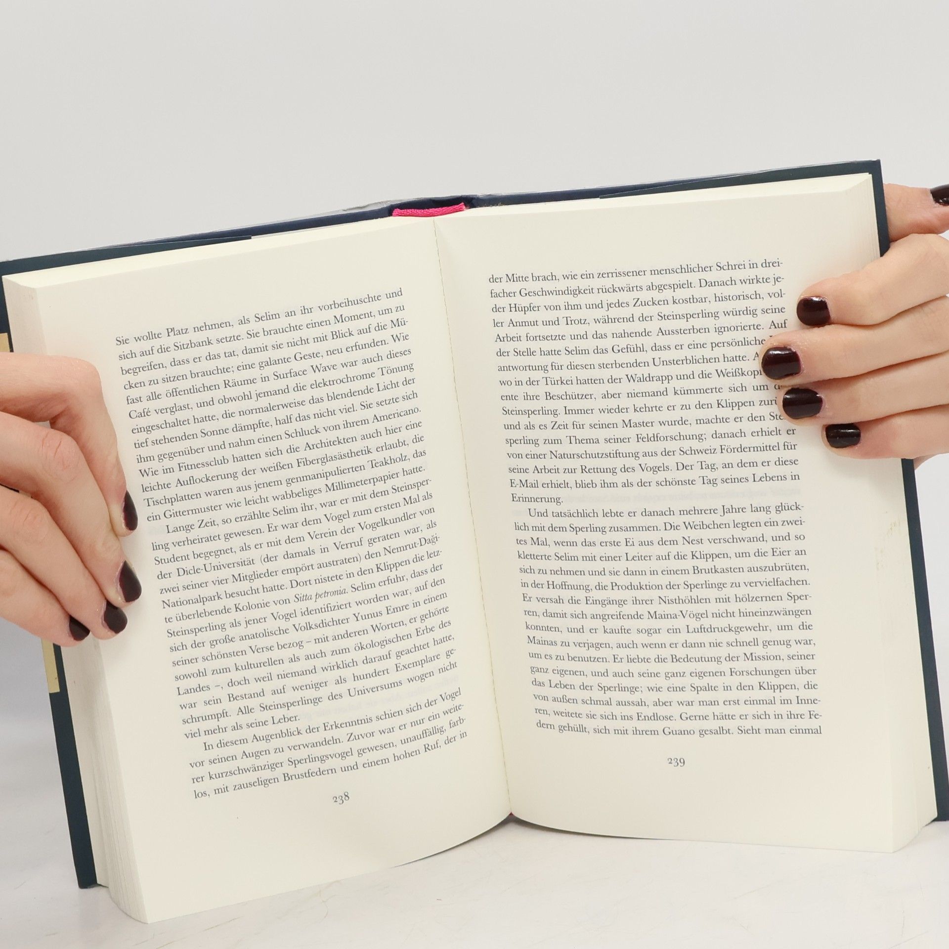 Ned Beauman Der Gemeine Lumpfisch