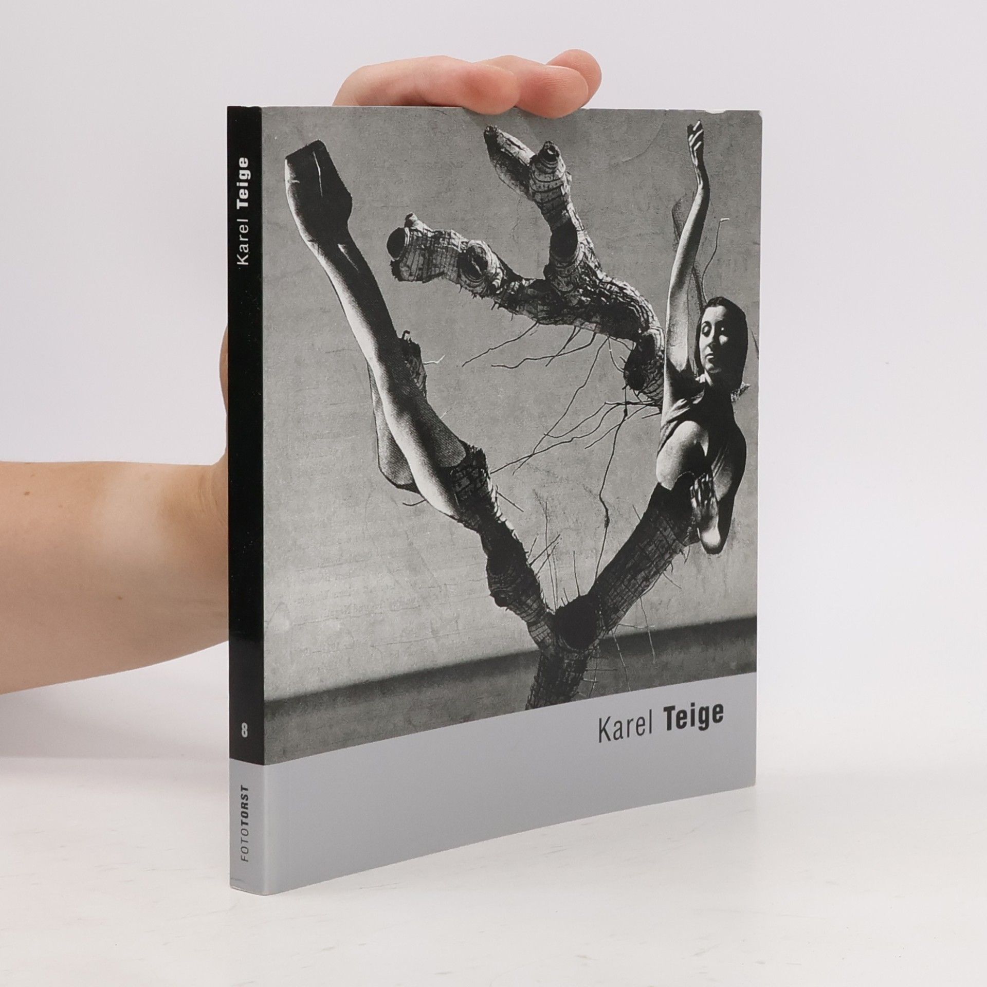 Karel Srp Karel Teige