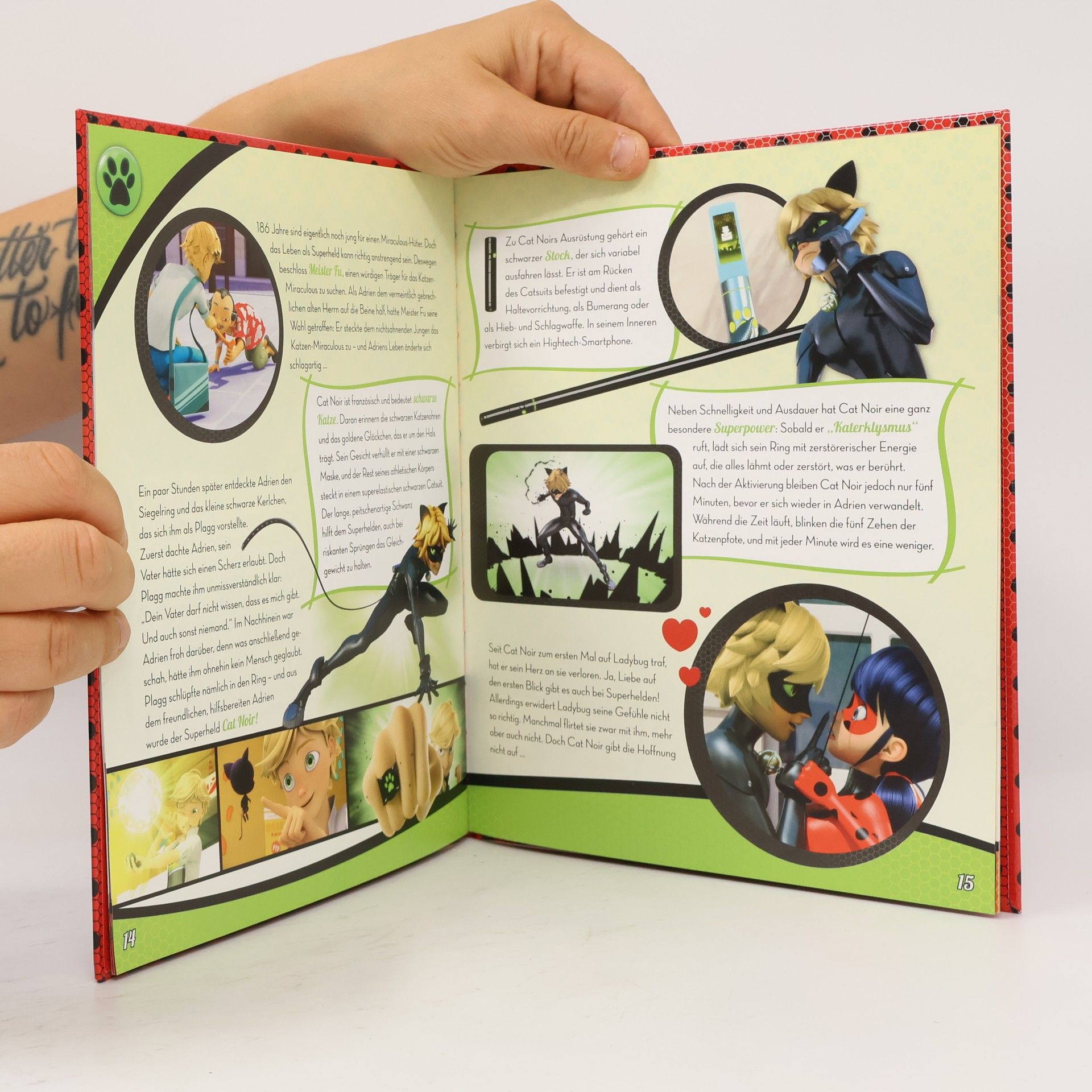 Claudia Weber Miraculous - das geheime Buch der Miraculous