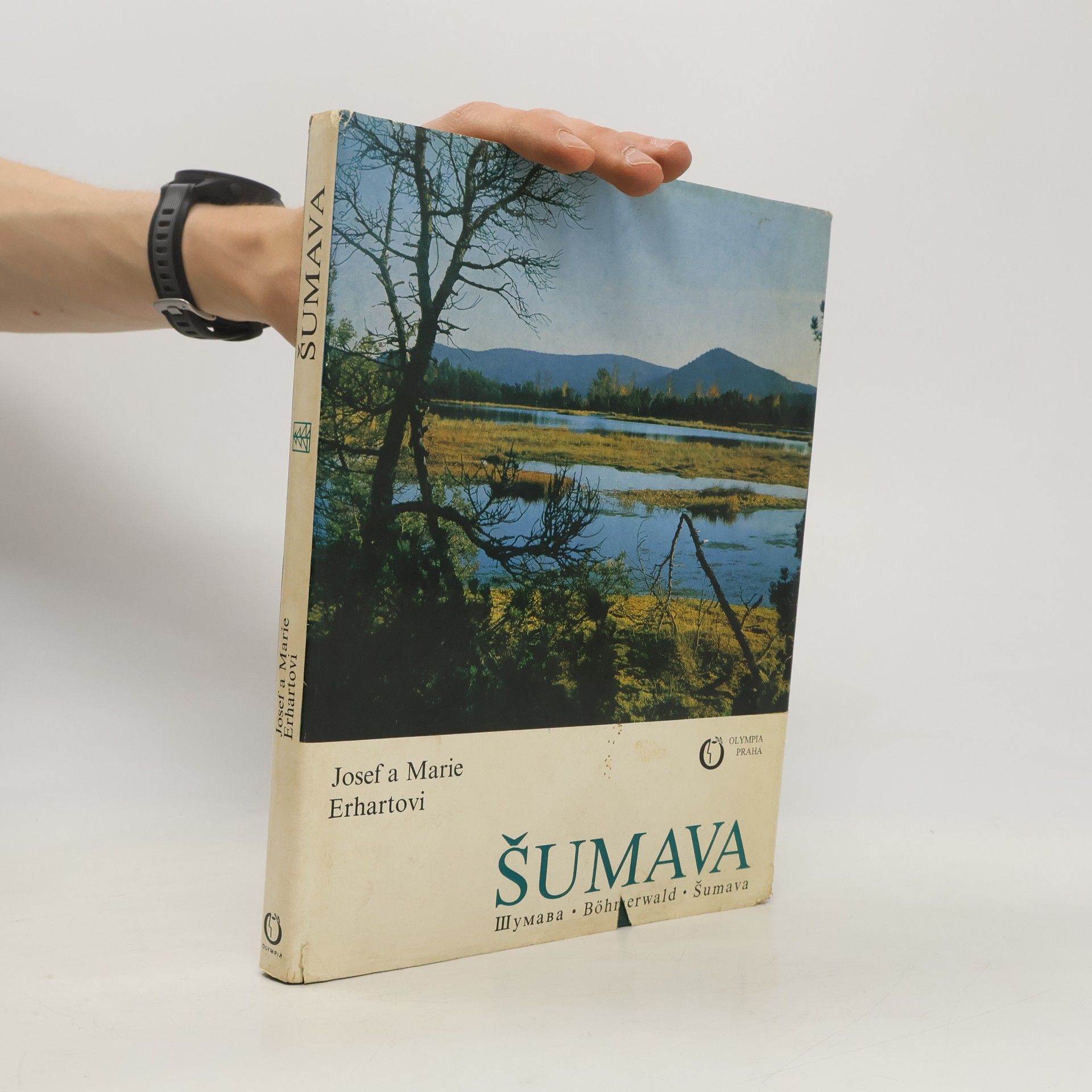 Šumava