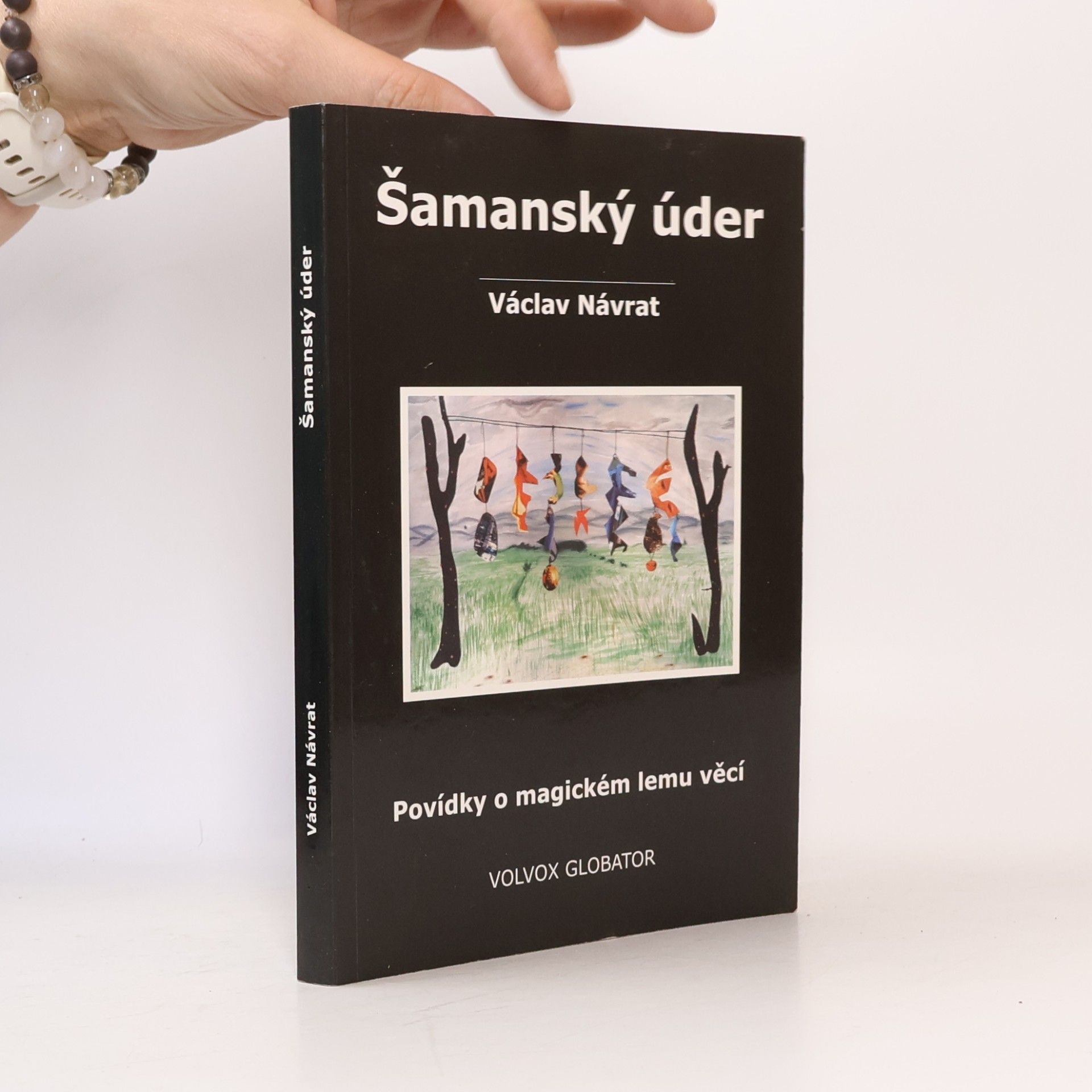 Václav Návrat Šamanský úder