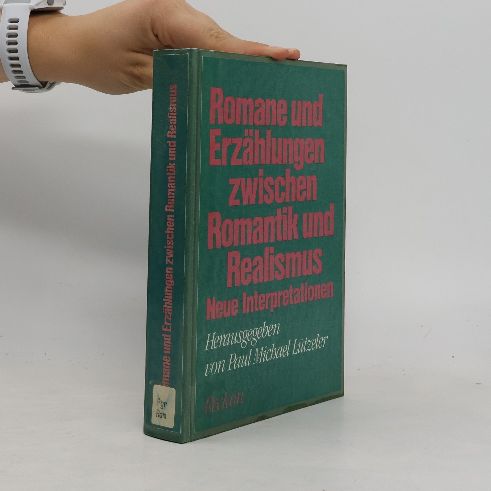 Paul Michael Lützeler Romane und Erzählungen zwischen Romantik und Realismus