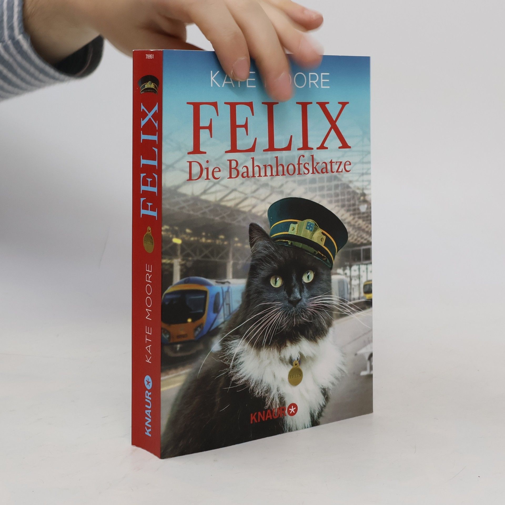 Felix - die Bahnhofskatze