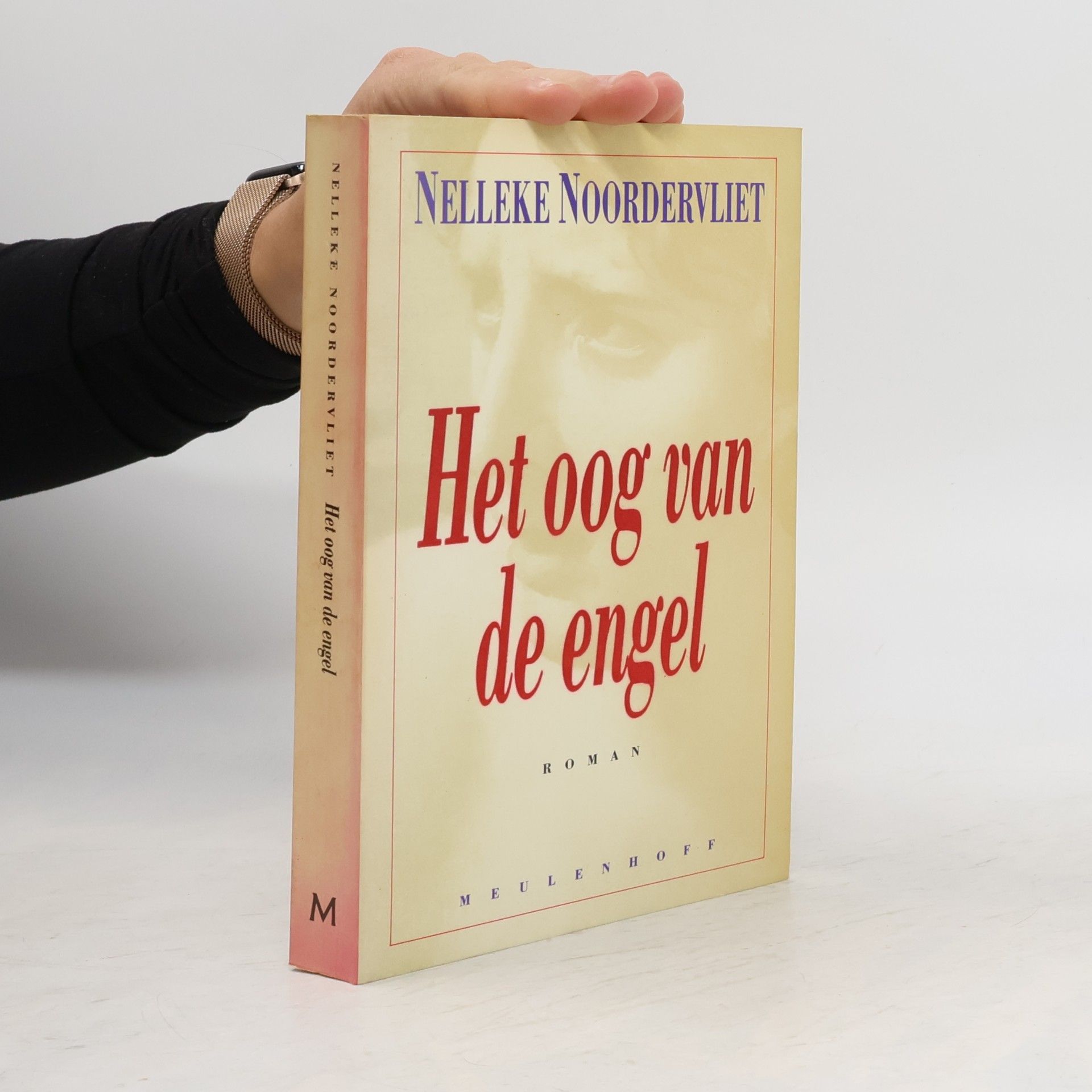 Nelleke Noordervliet Het oog van de engel