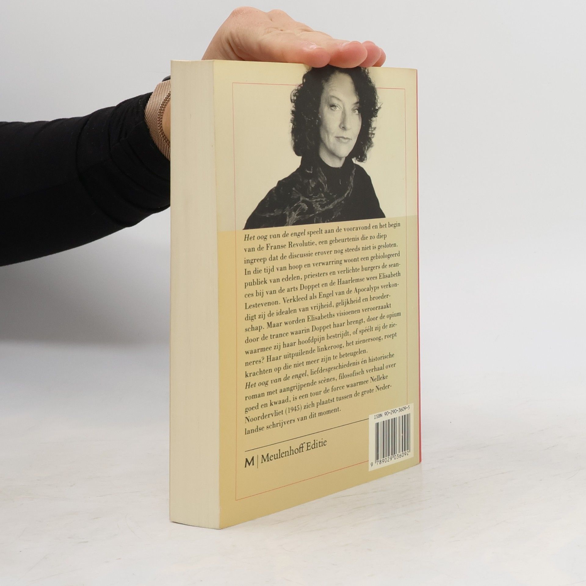 Nelleke Noordervliet Het oog van de engel