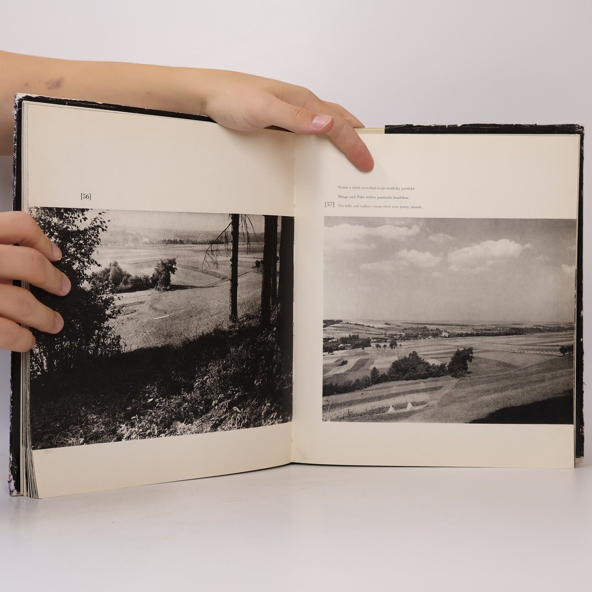 Josef Sudek Janáček - Hukvaldy