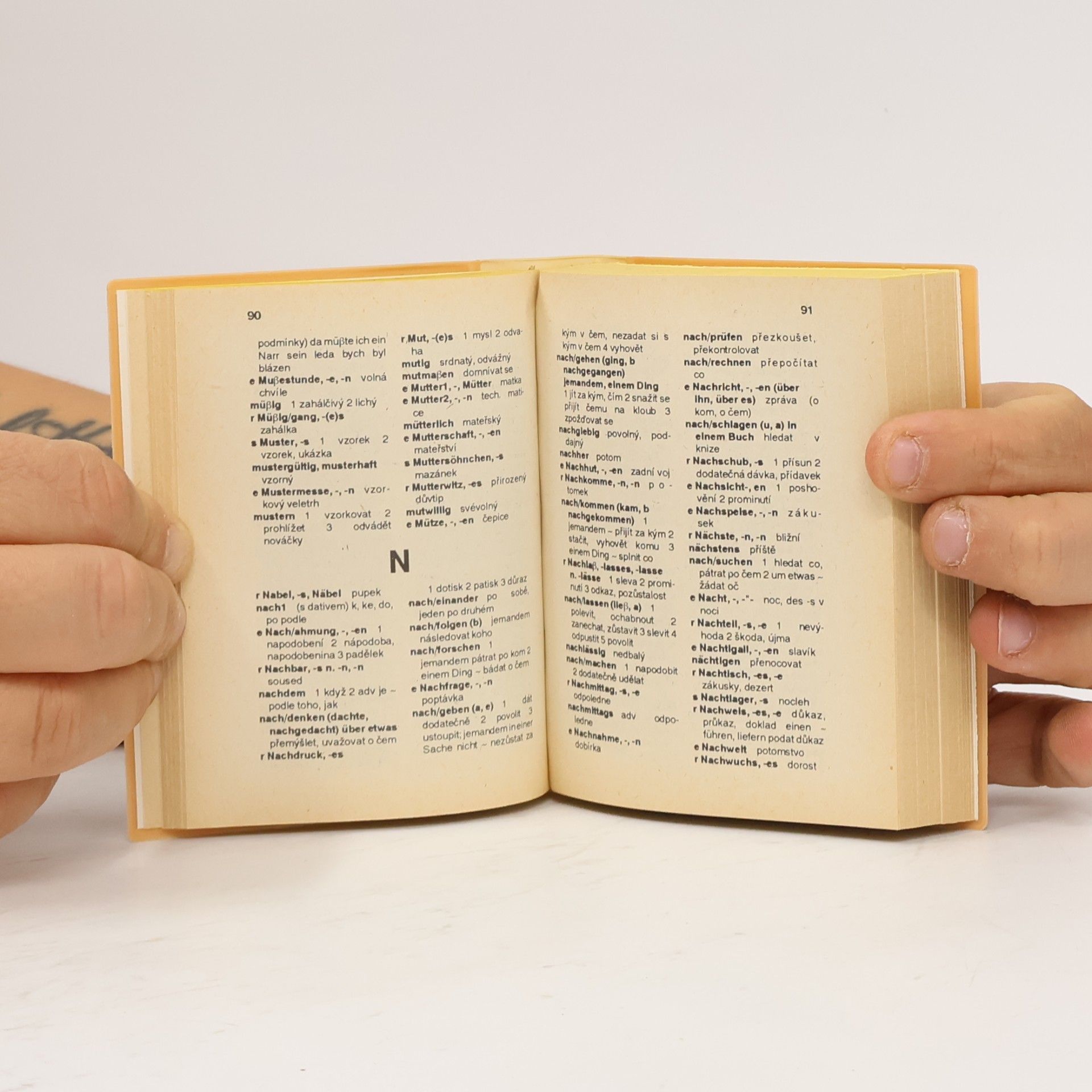 Autorenkollektiv Německo-český, česko-německý slovník