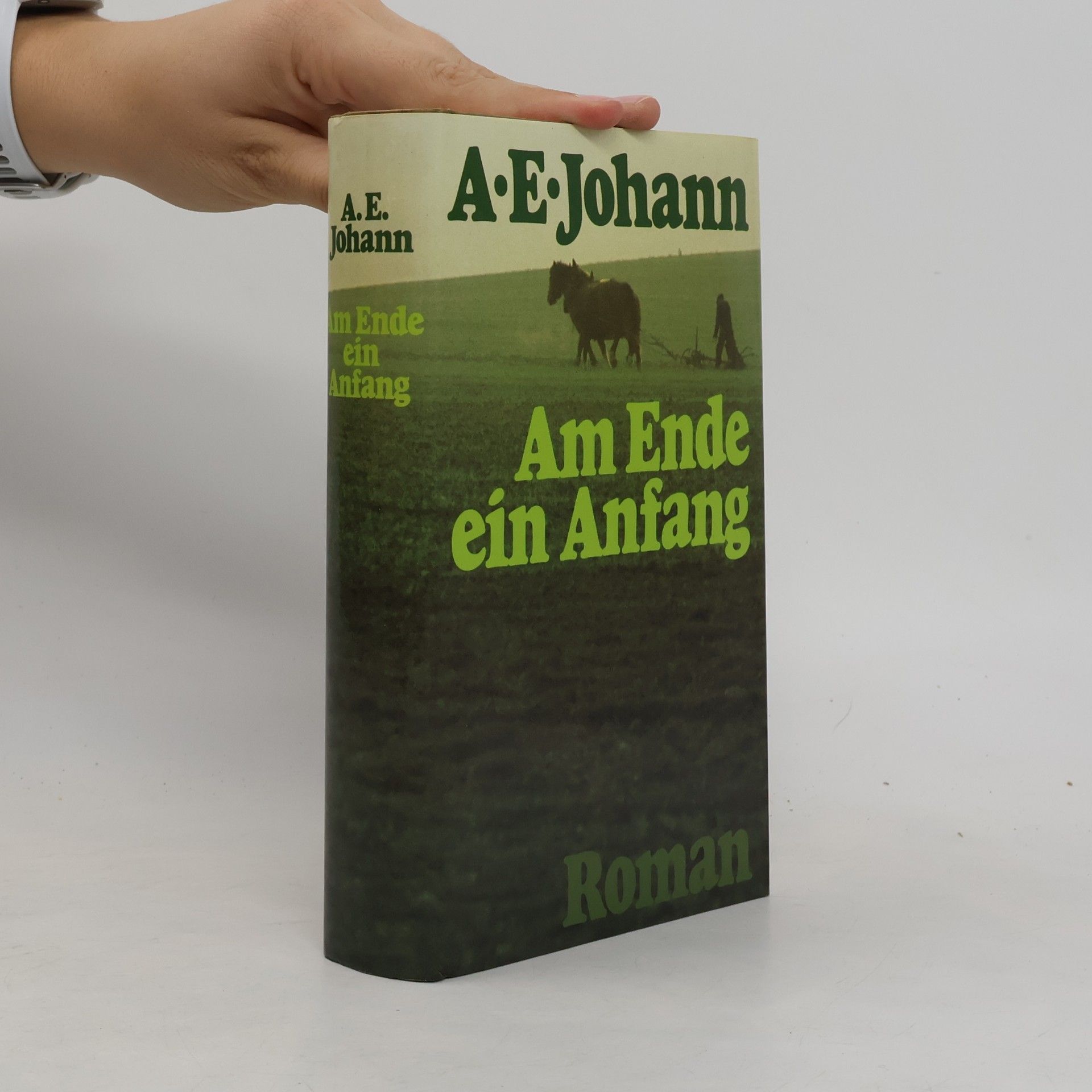 Alfred E. Johann Am Ende ein Anfang