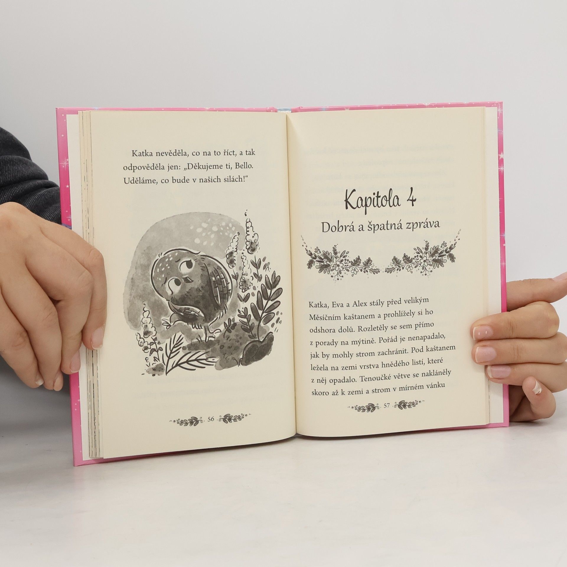 Catherine Coe Sovy z Čarovného lesa: Měsíční kaštan