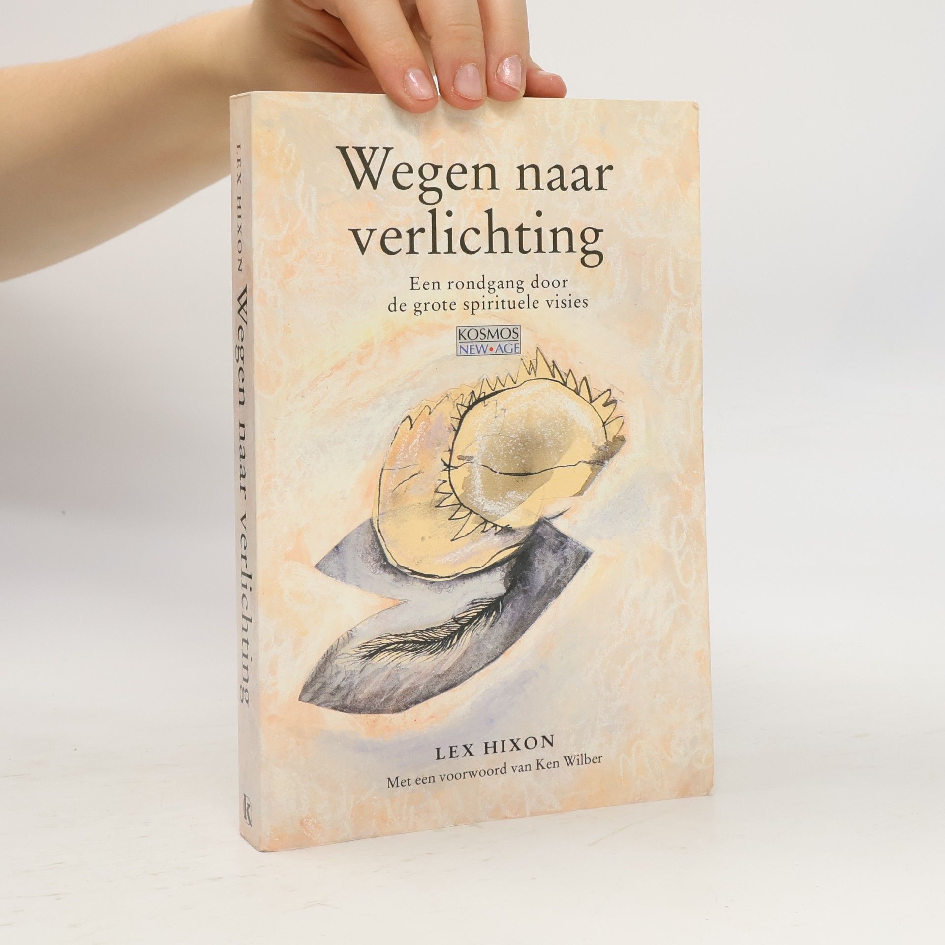Lex Hixon Wegen naar verlichting