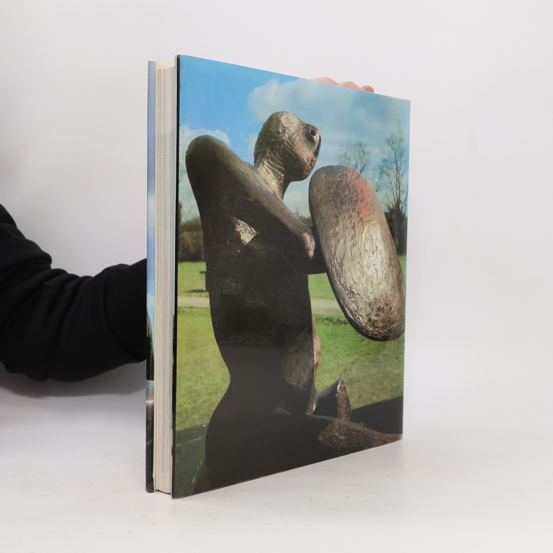 Henry Moore Henry Moore. Plastiky a myšlenky kolem nich