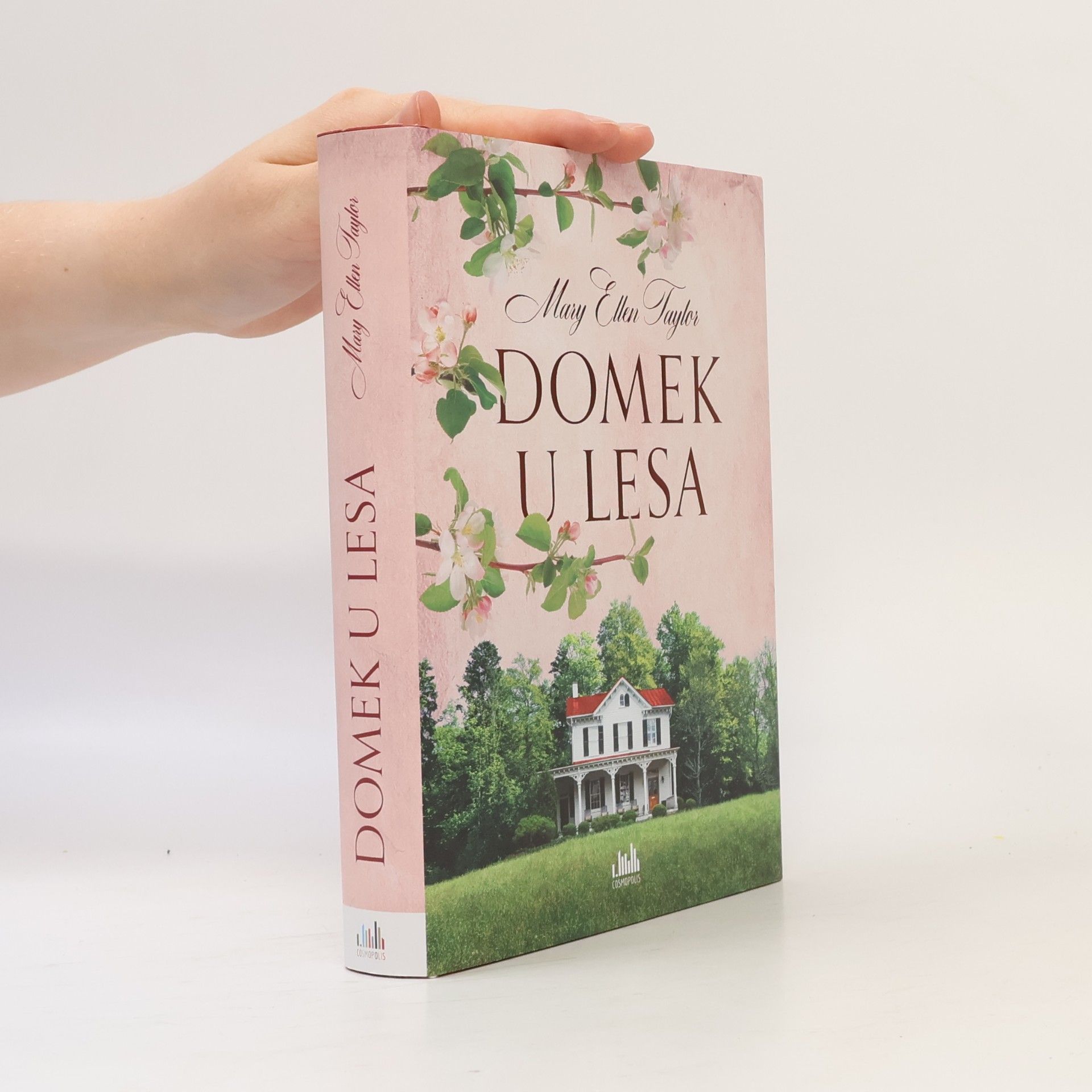 Mary Ellen Taylor Domek u lesa