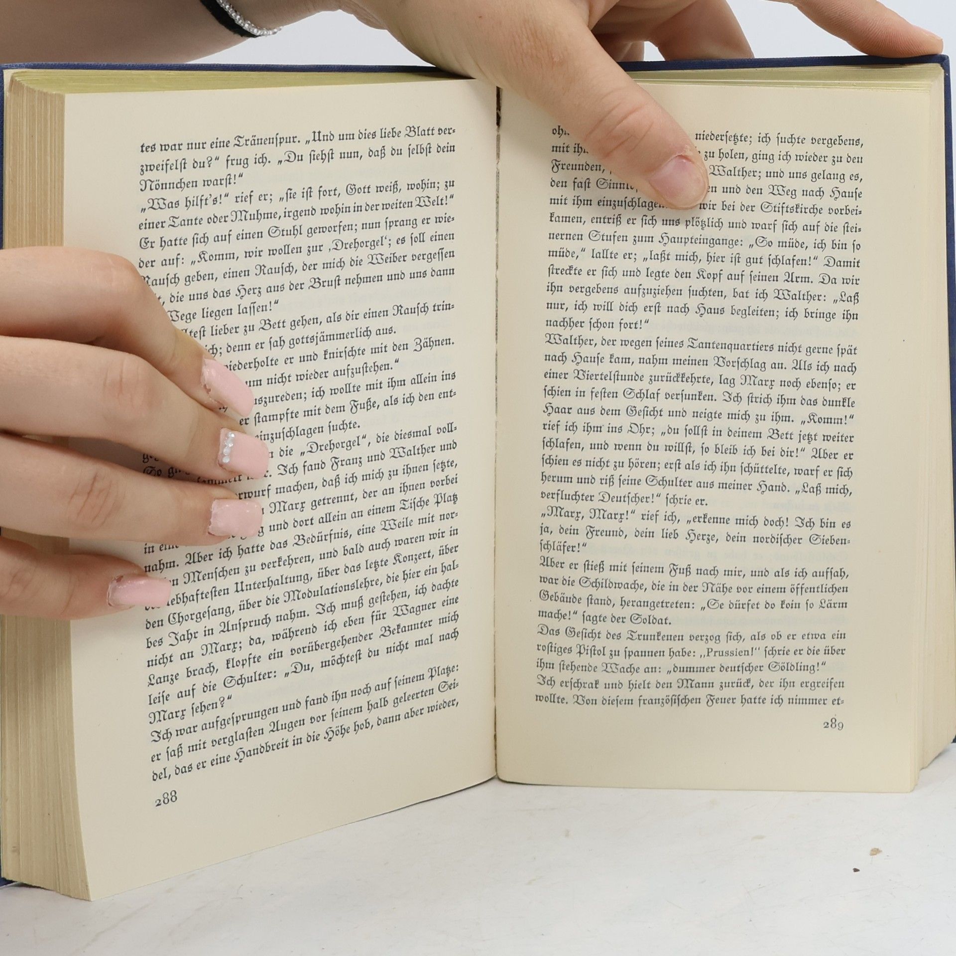 Theodor Storm Ausgewählte Novellen 2