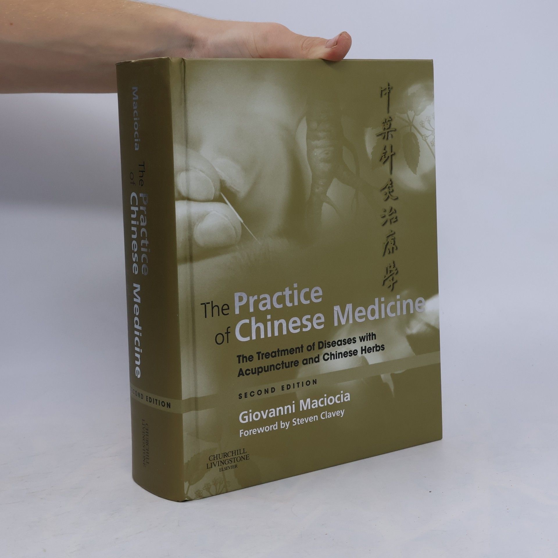 Giovanni Maciocia The Practice of Chinese Medicine