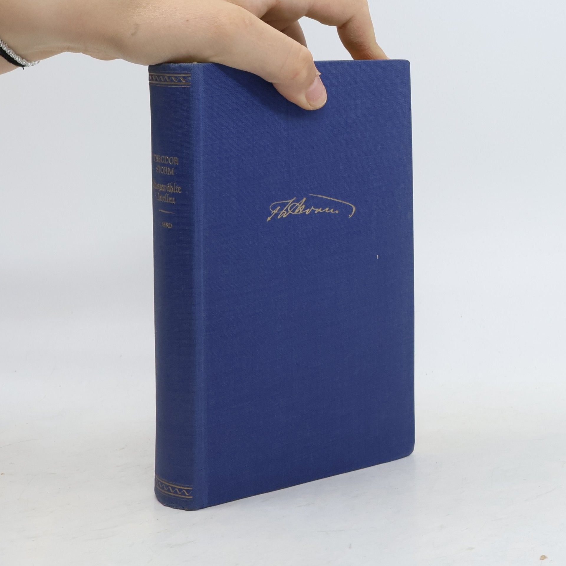 Theodor Storm Ausgewählte Novellen I