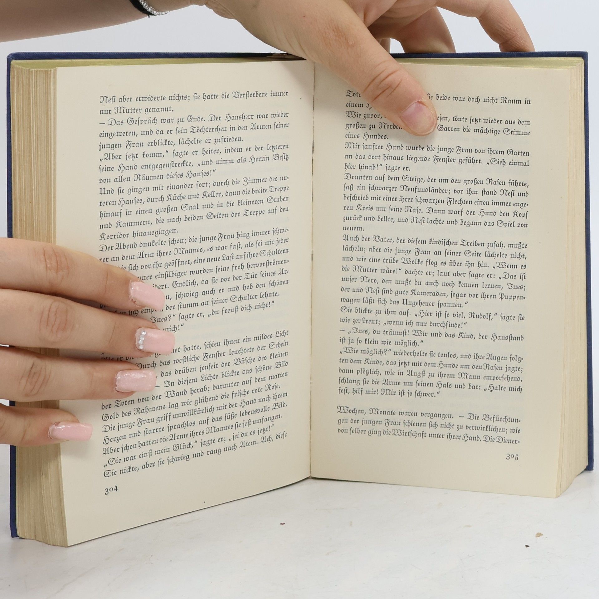 Theodor Storm Ausgewählte Novellen I