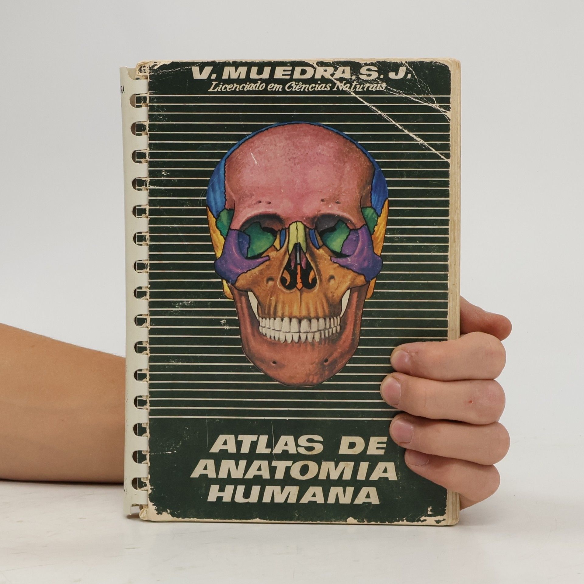 V. Muedra, S. J. Atlas de Anatomia Humana