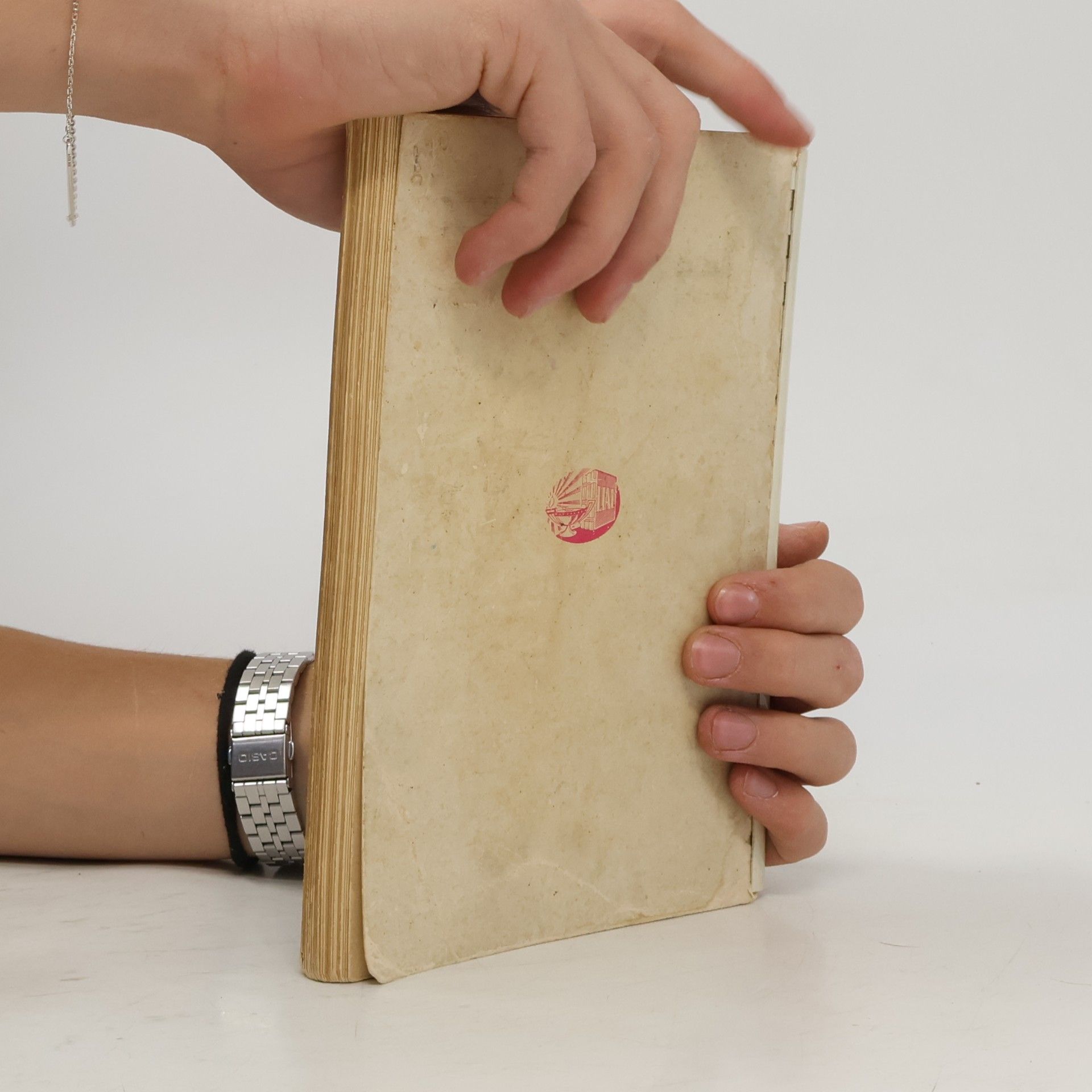V. Muedra, S. J. Atlas de Anatomia Humana