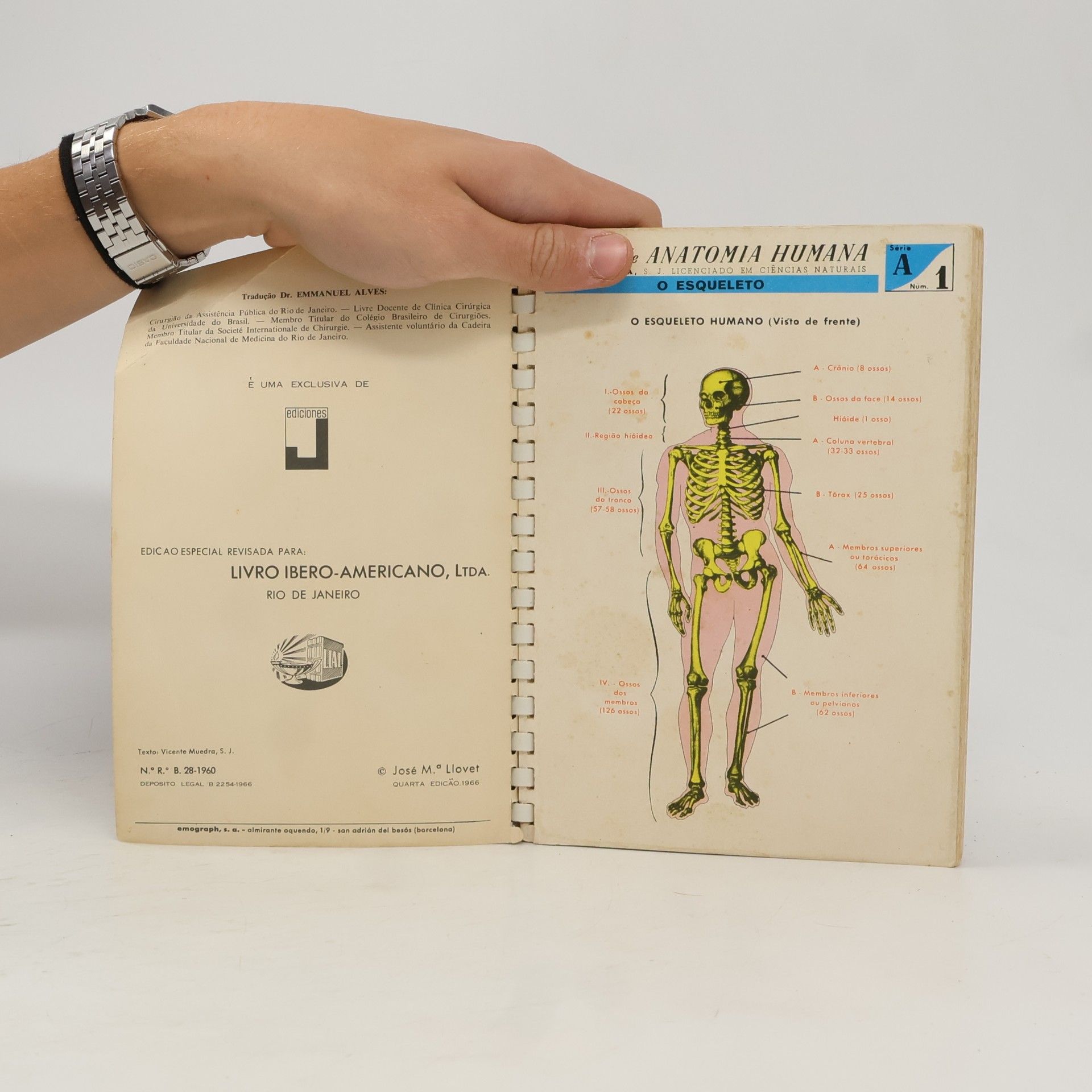 V. Muedra, S. J. Atlas de Anatomia Humana
