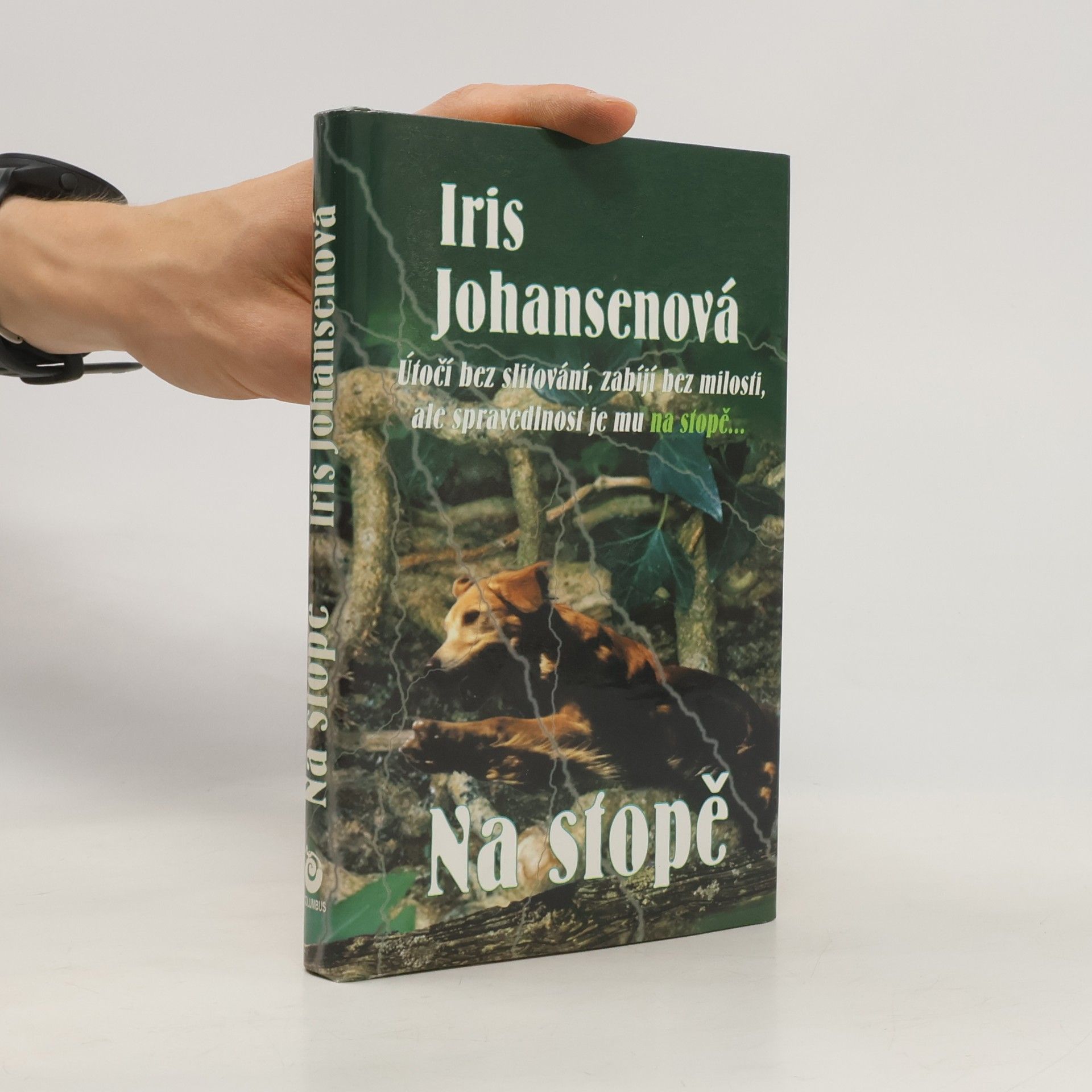 Iris Johansen Na stopě