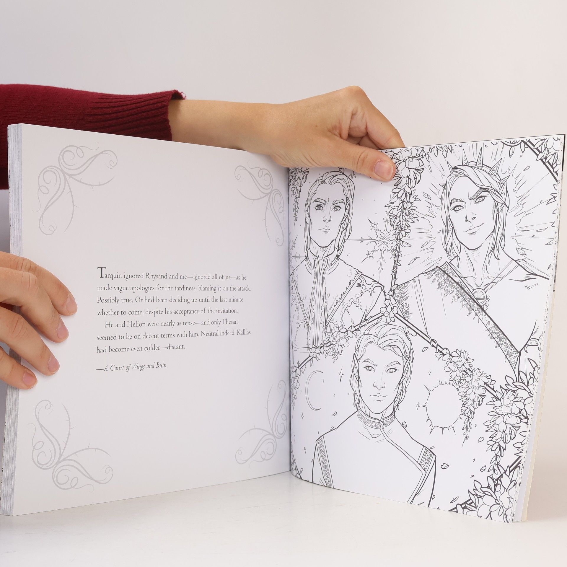 Sarah J. Maas A Court of Thorns and Roses. Colouring Book