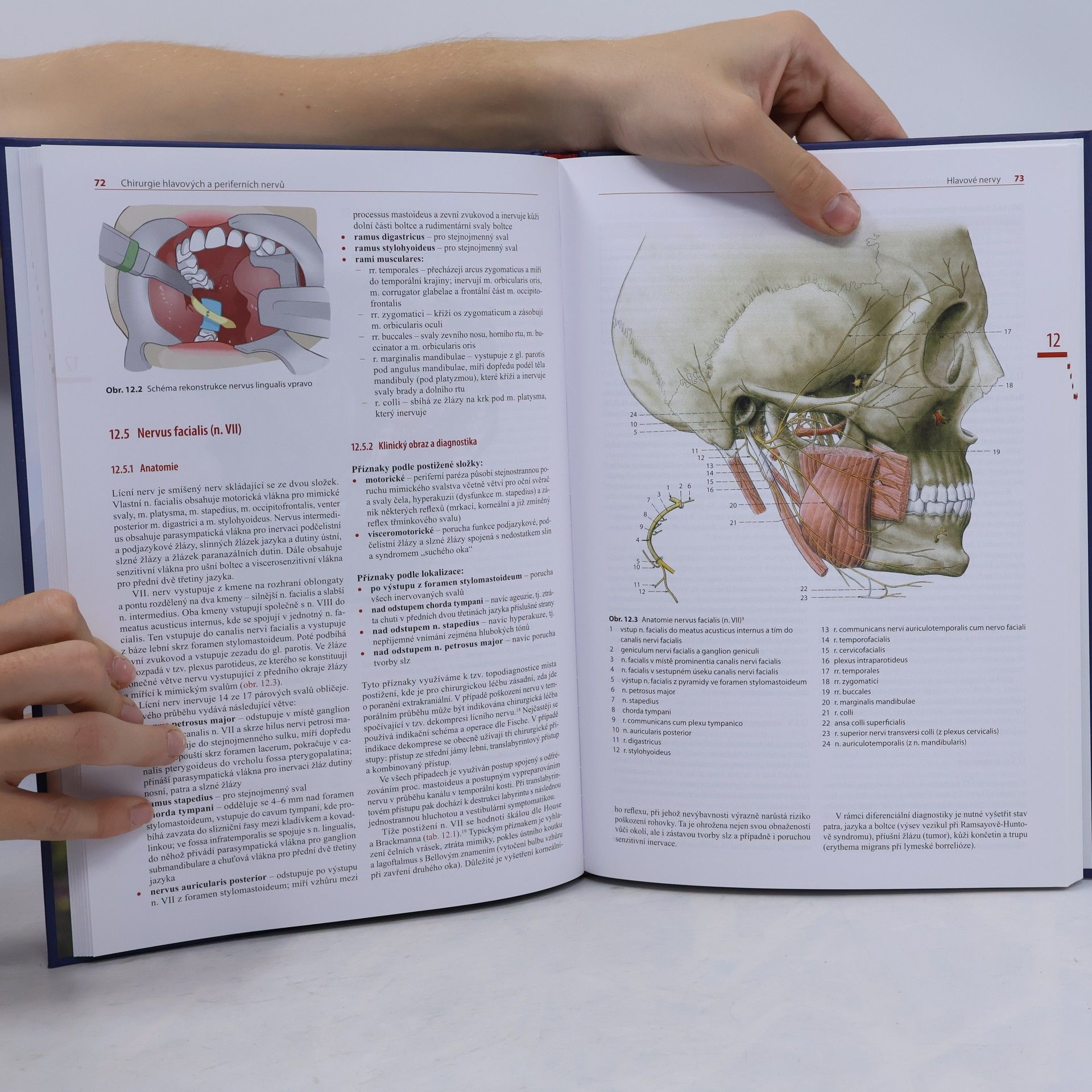 Radek Kaiser Chirurgie hlavových a periferních nervů