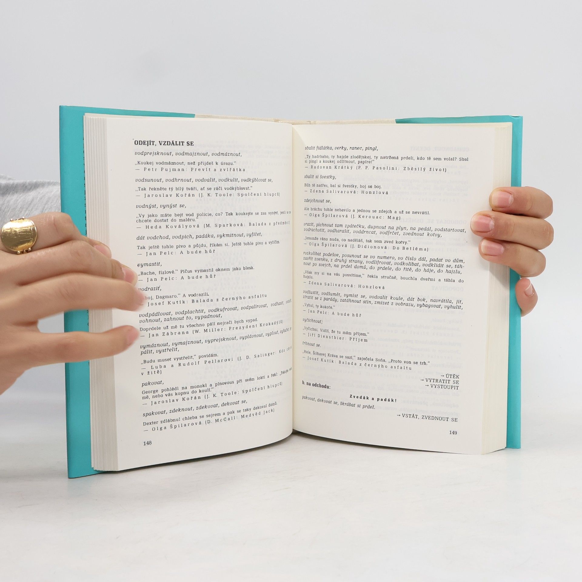Patrik Ouředník Šmírbuch jazyka českého