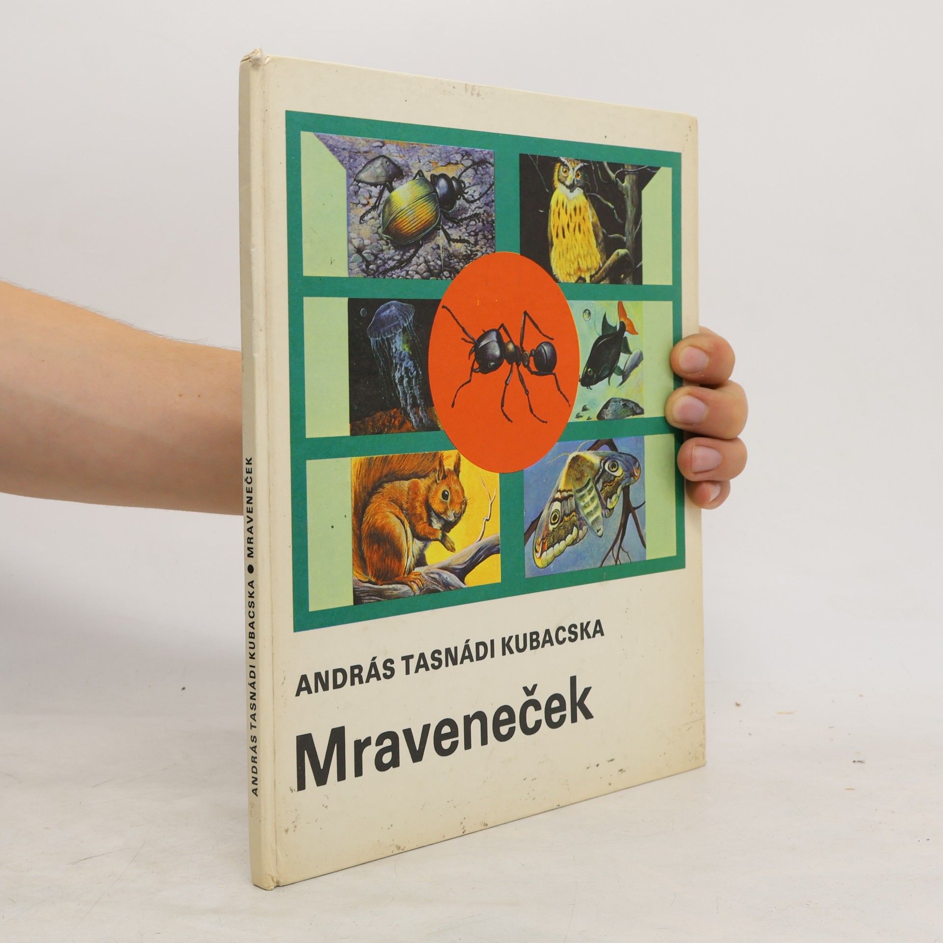 András Tasnádi Kubacska Mraveneček