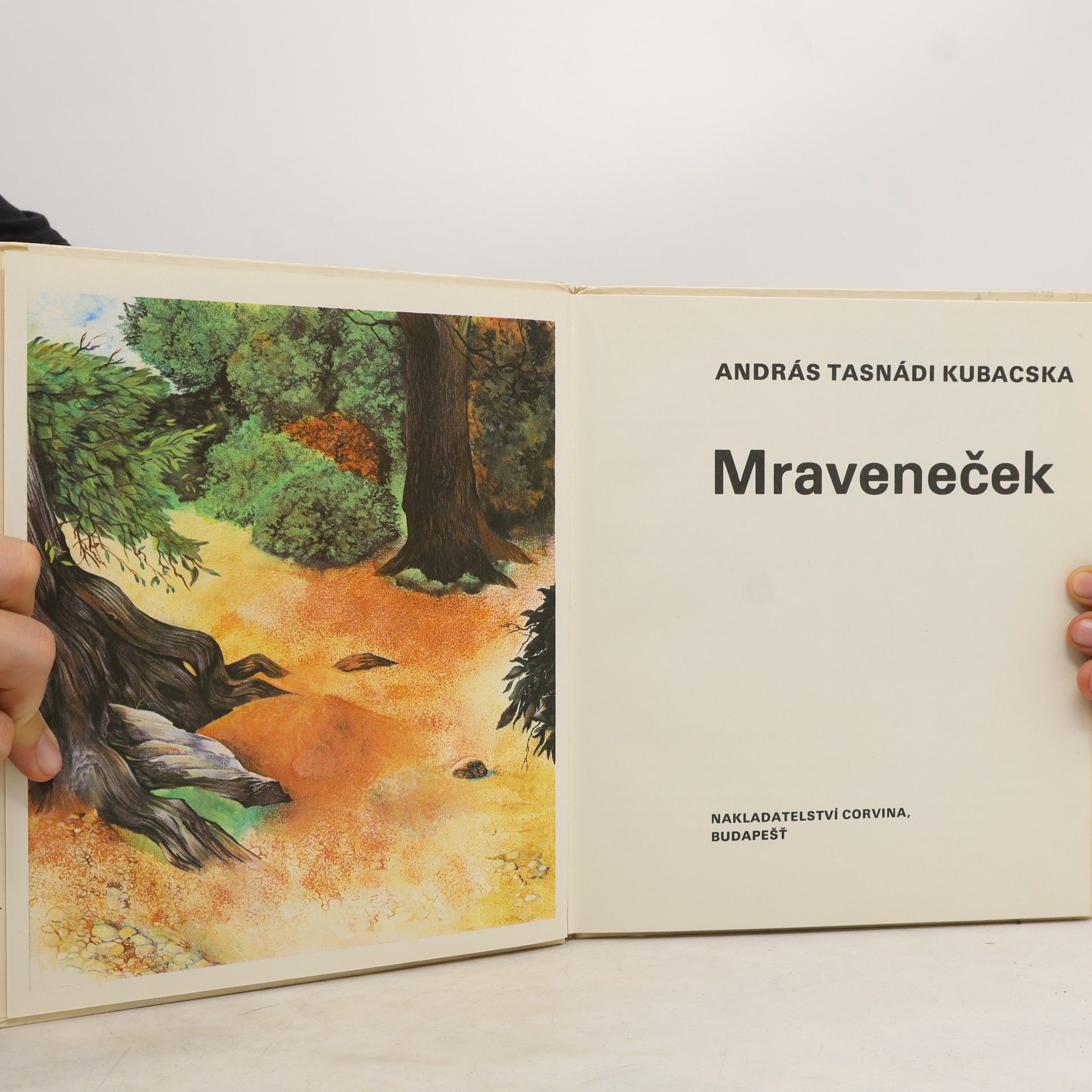 András Tasnádi Kubacska Mraveneček