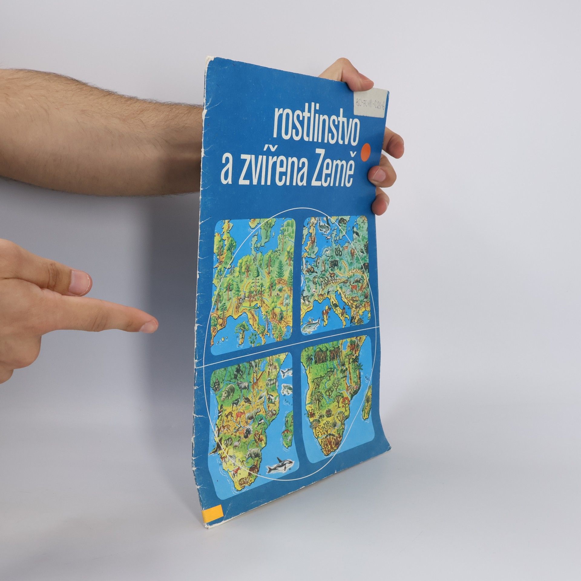 Autorenkollektiv Rostlinstvo a zvířena Země : Mapový soubor