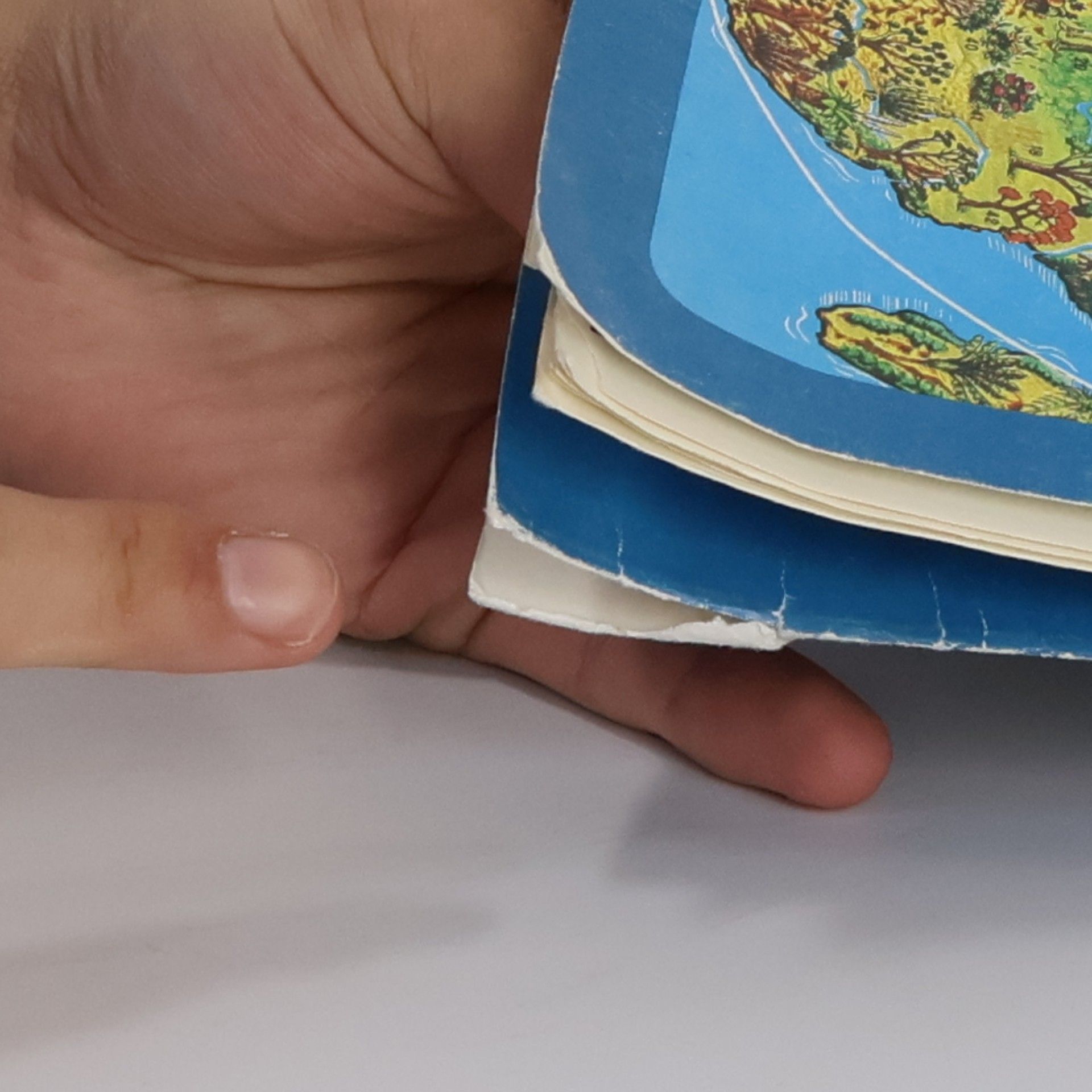 Autorenkollektiv Rostlinstvo a zvířena Země : Mapový soubor