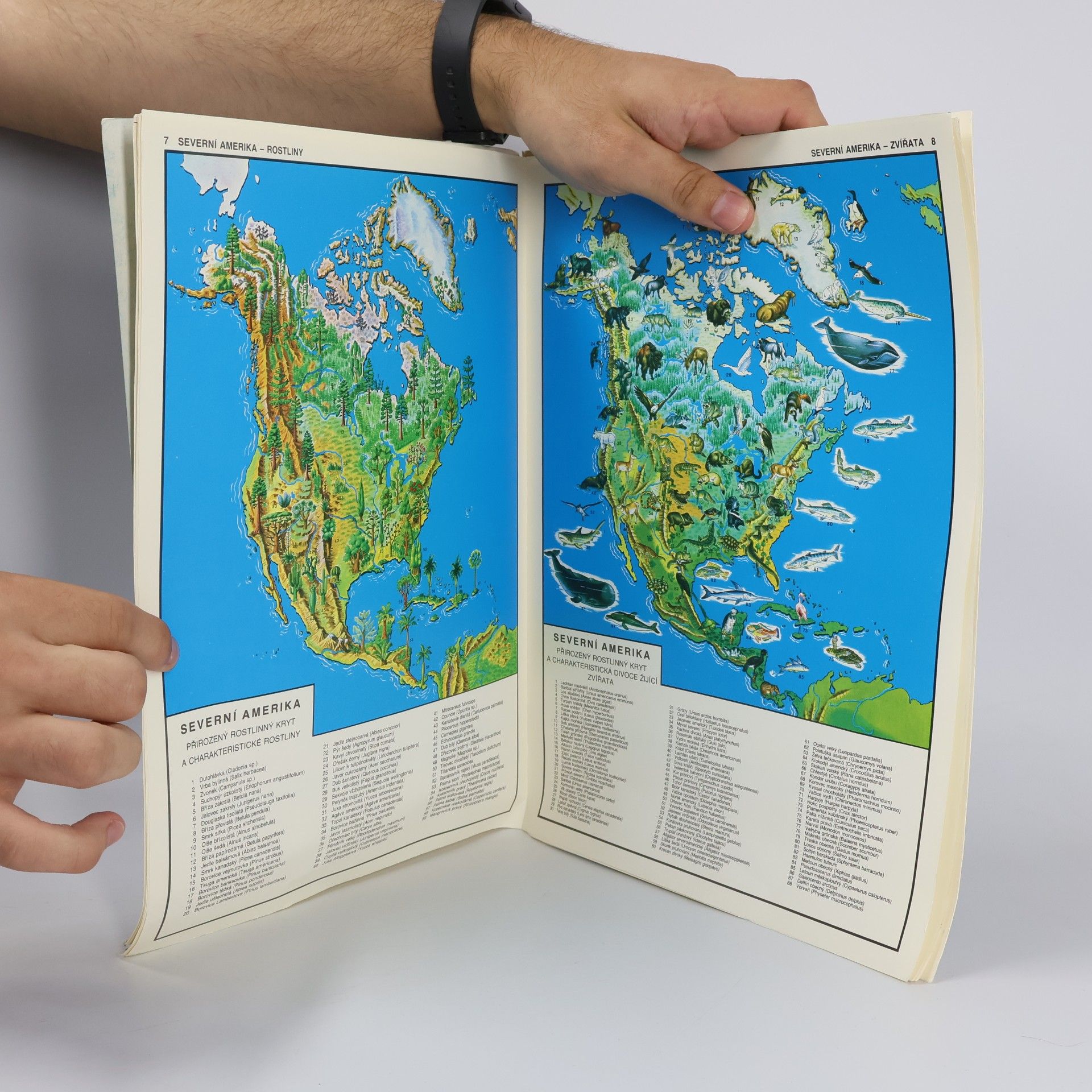 Autorenkollektiv Rostlinstvo a zvířena Země : Mapový soubor