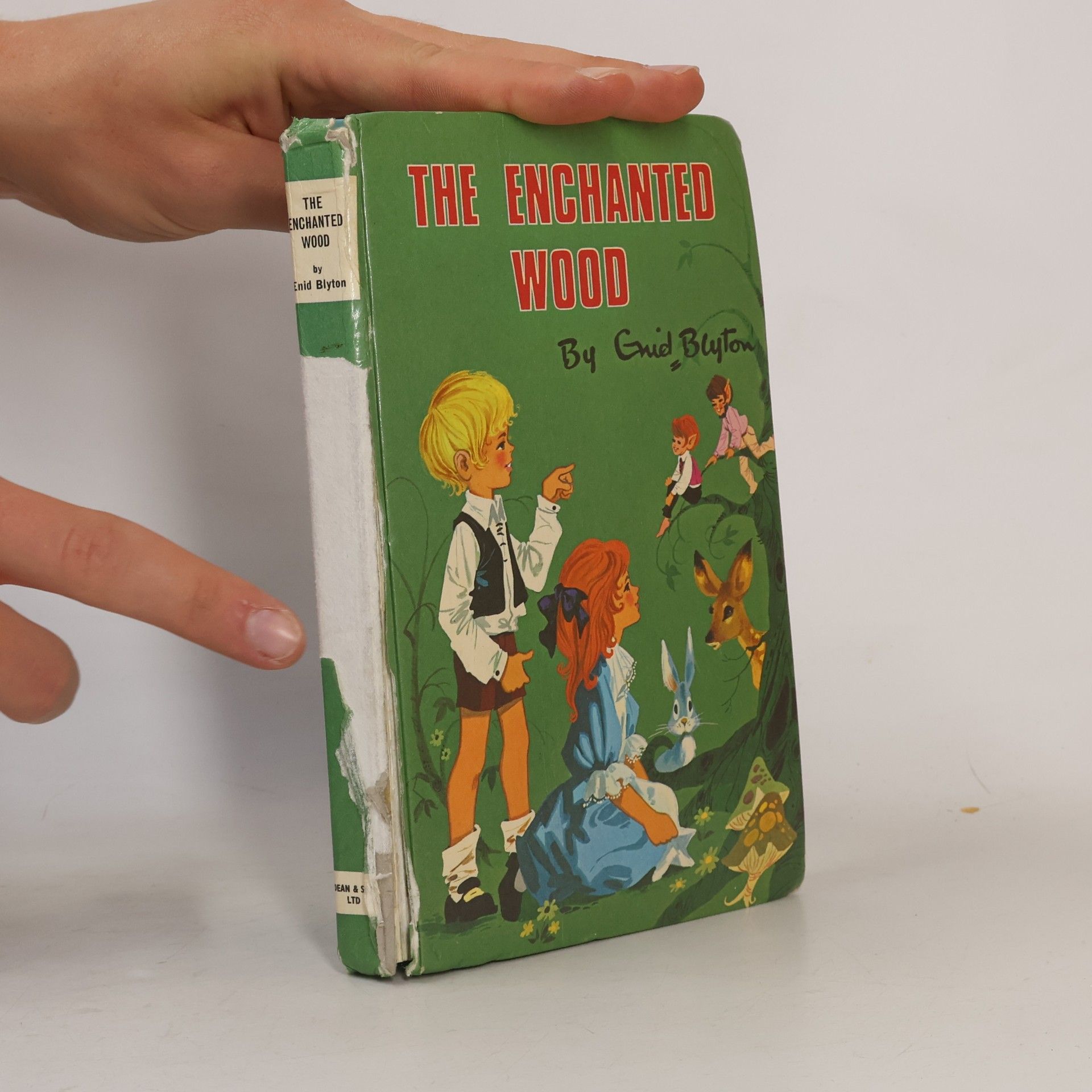 Enid Blyton The Enchanted Wood