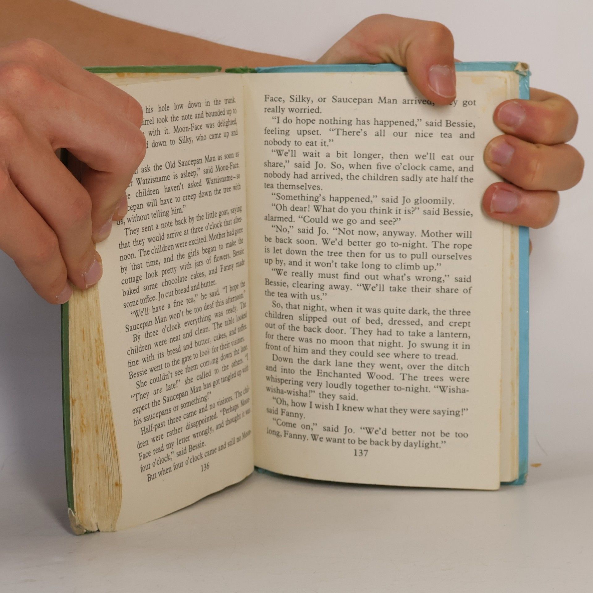 Enid Blyton The Enchanted Wood